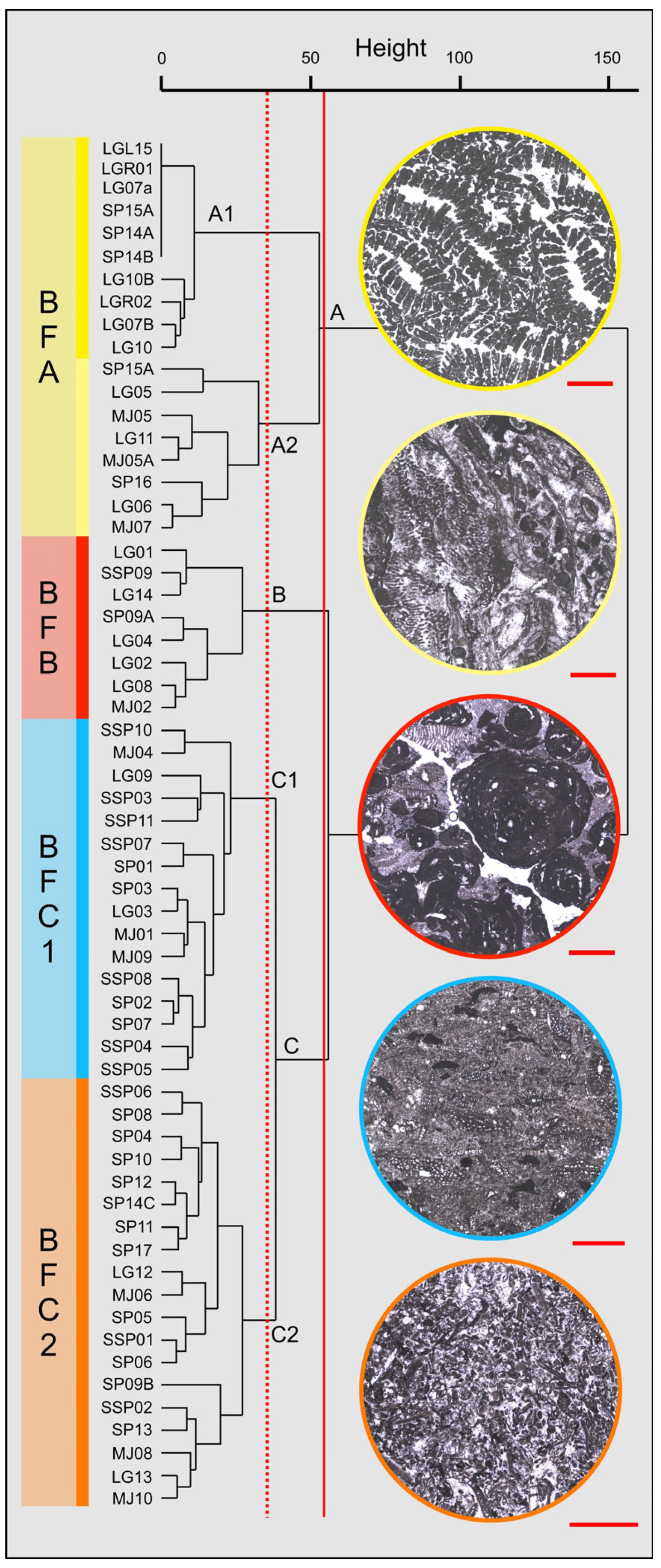 Geosciences 15 00129 g007
