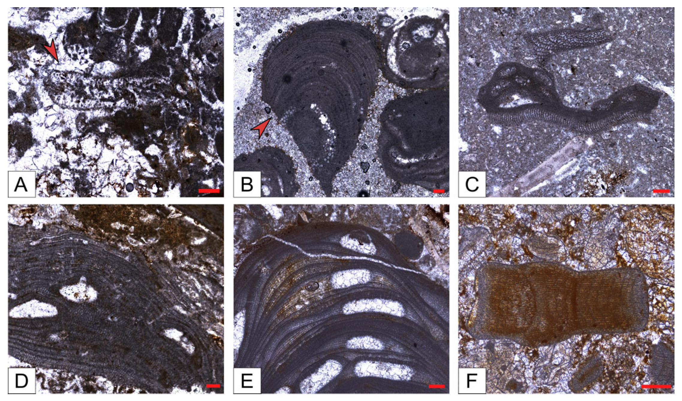 Geosciences 15 00129 g008
