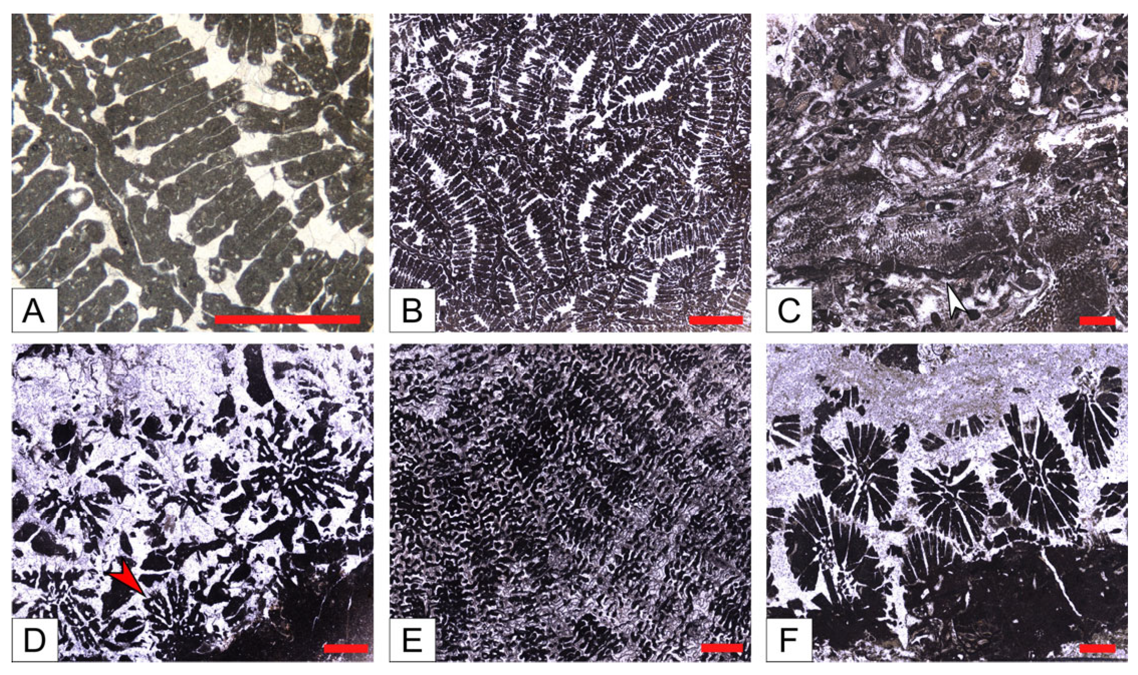 Geosciences 15 00129 g009