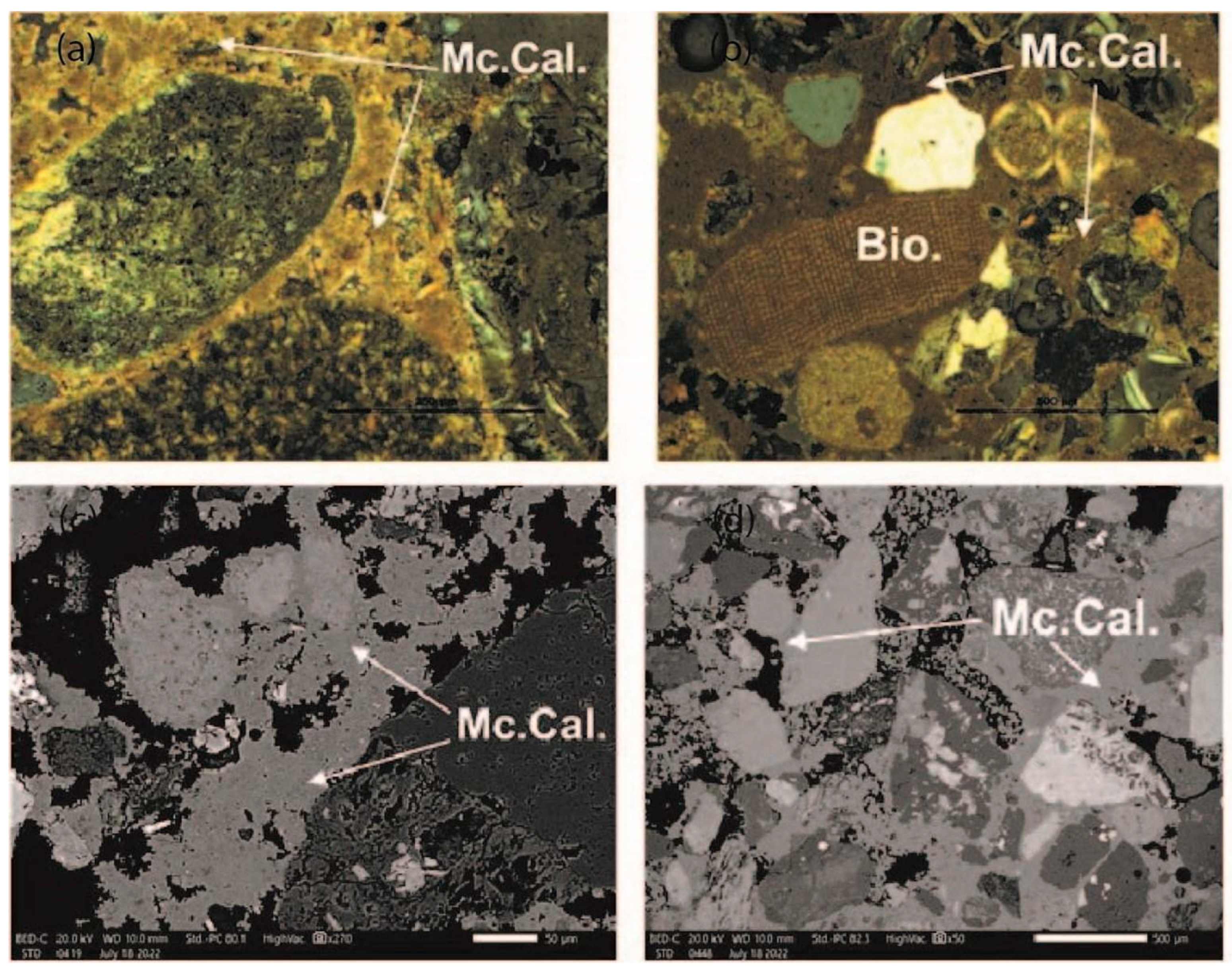 Geosciences 15 00137 g008