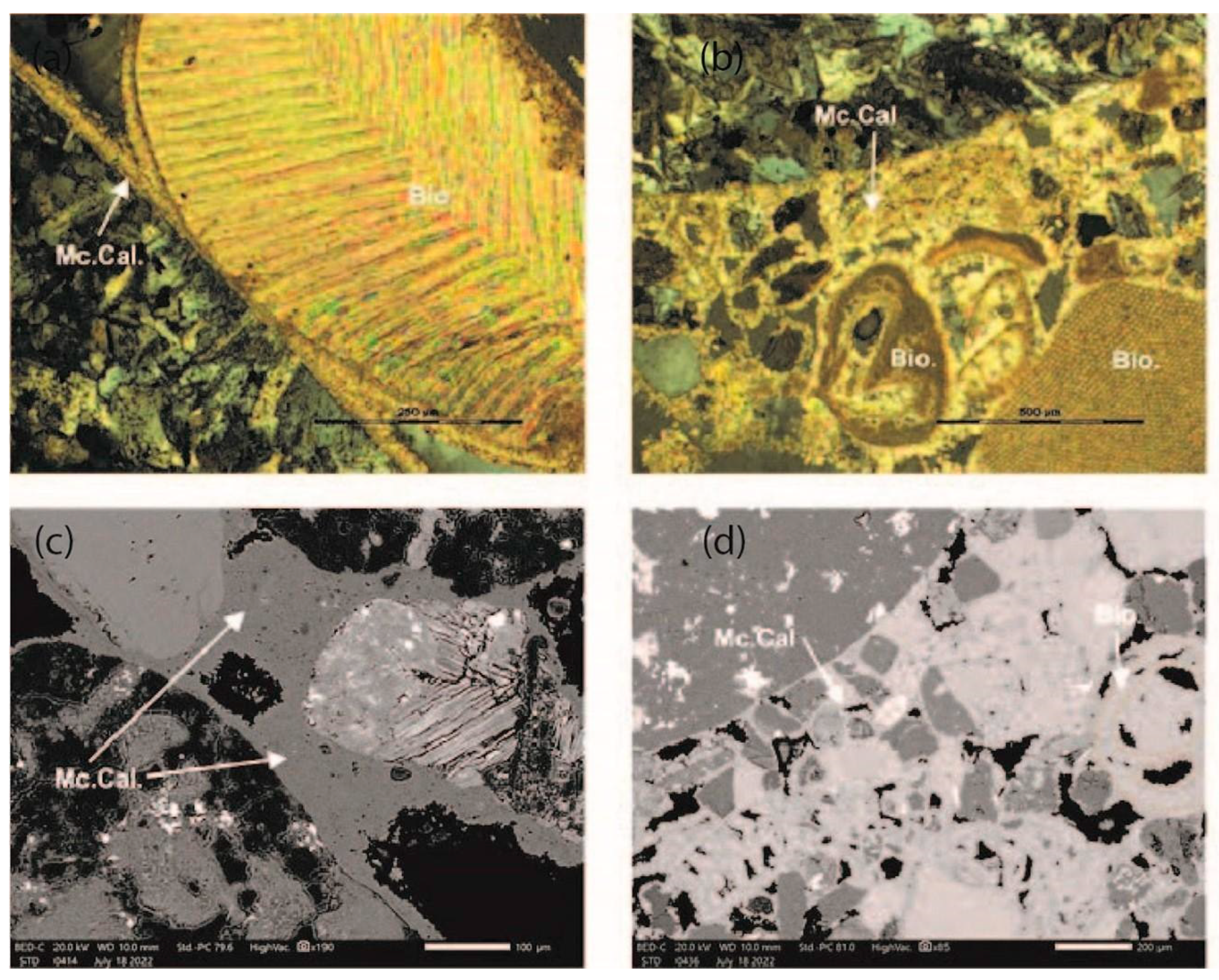 Geosciences 15 00137 g010