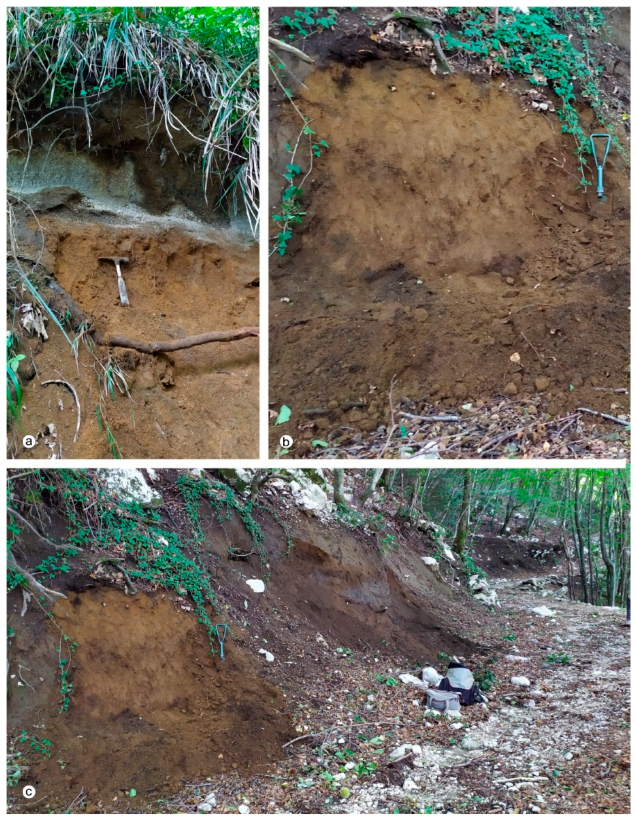 Geosciences 15 00151 g004