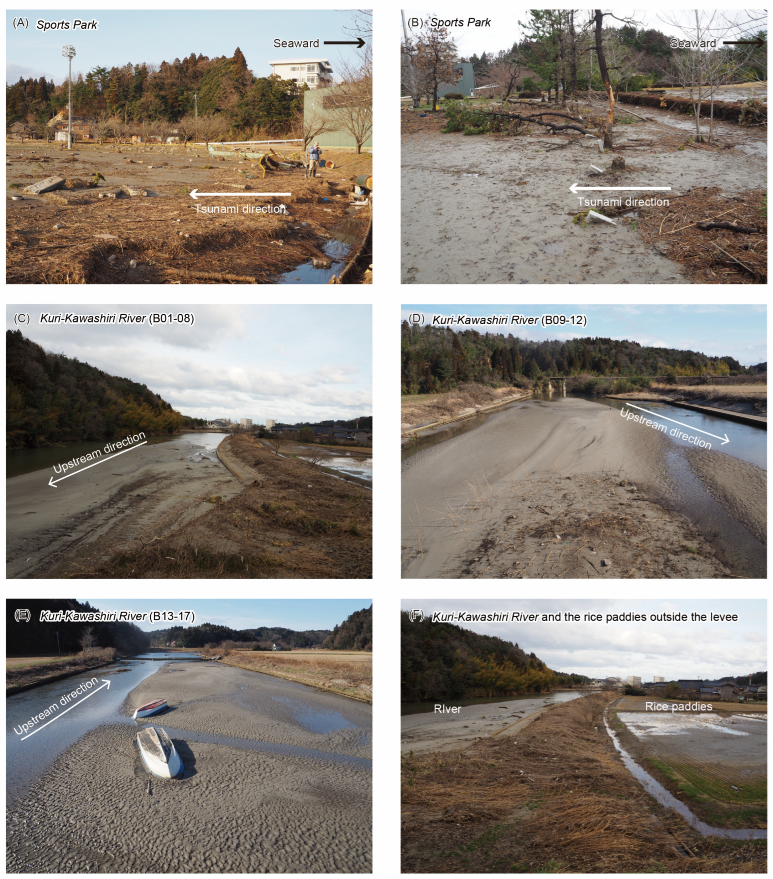 Geosciences 15 00153 g002