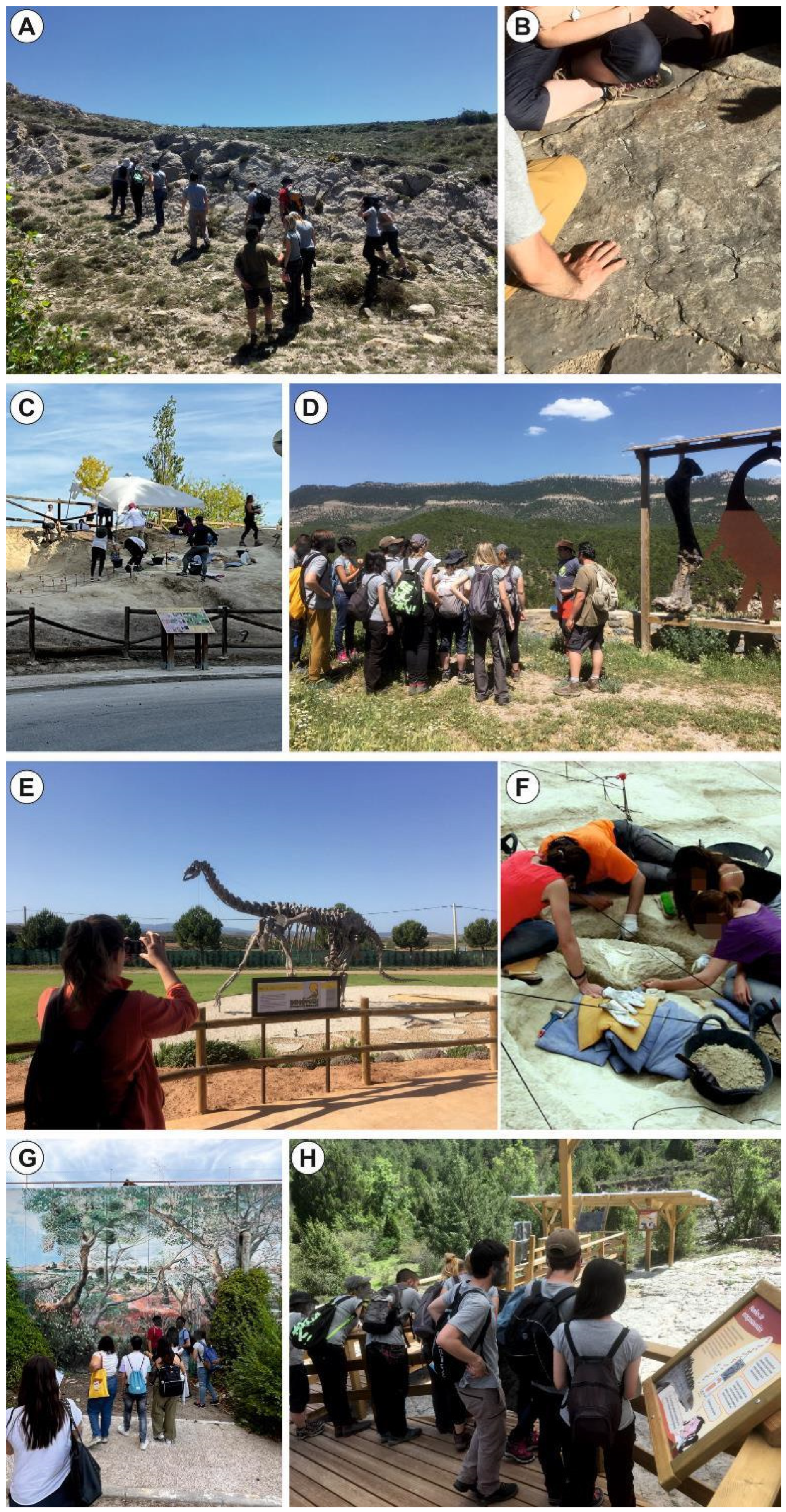 Geosciences 15 00164 g010