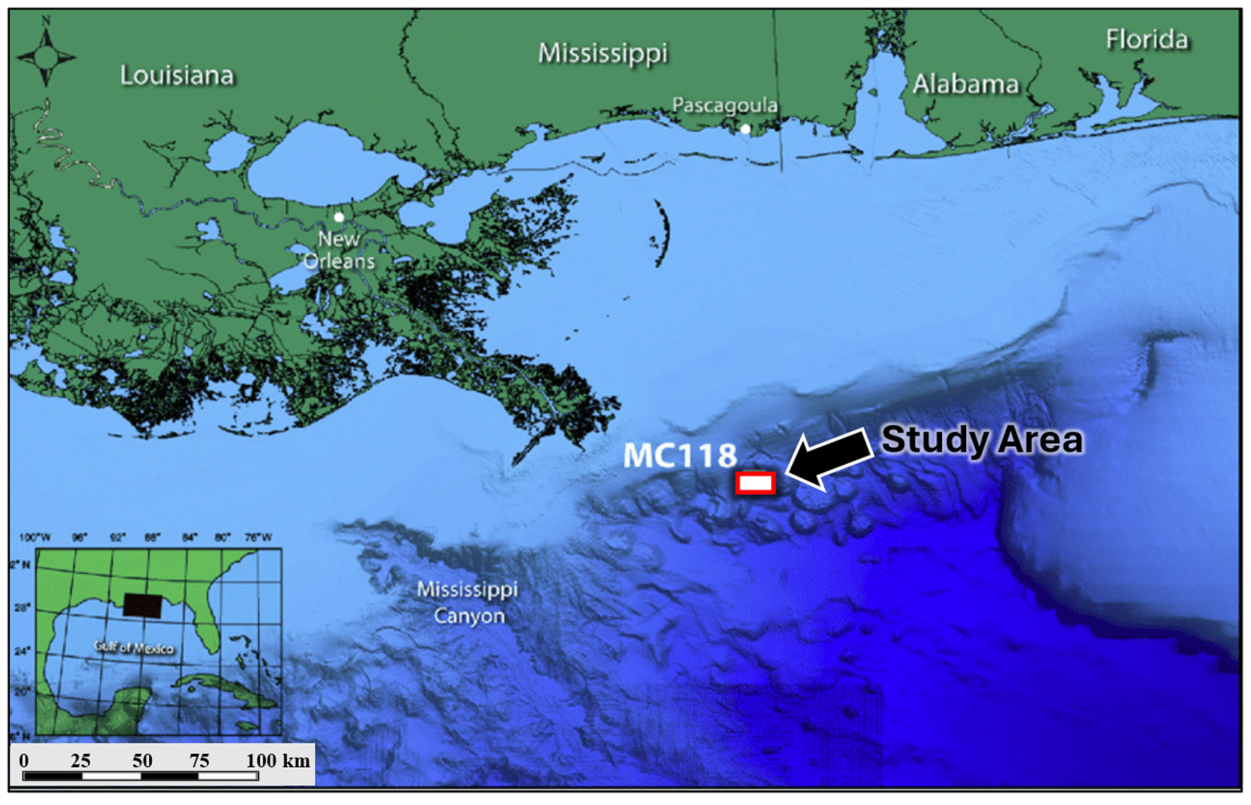 Geosciences 15 00183 g001