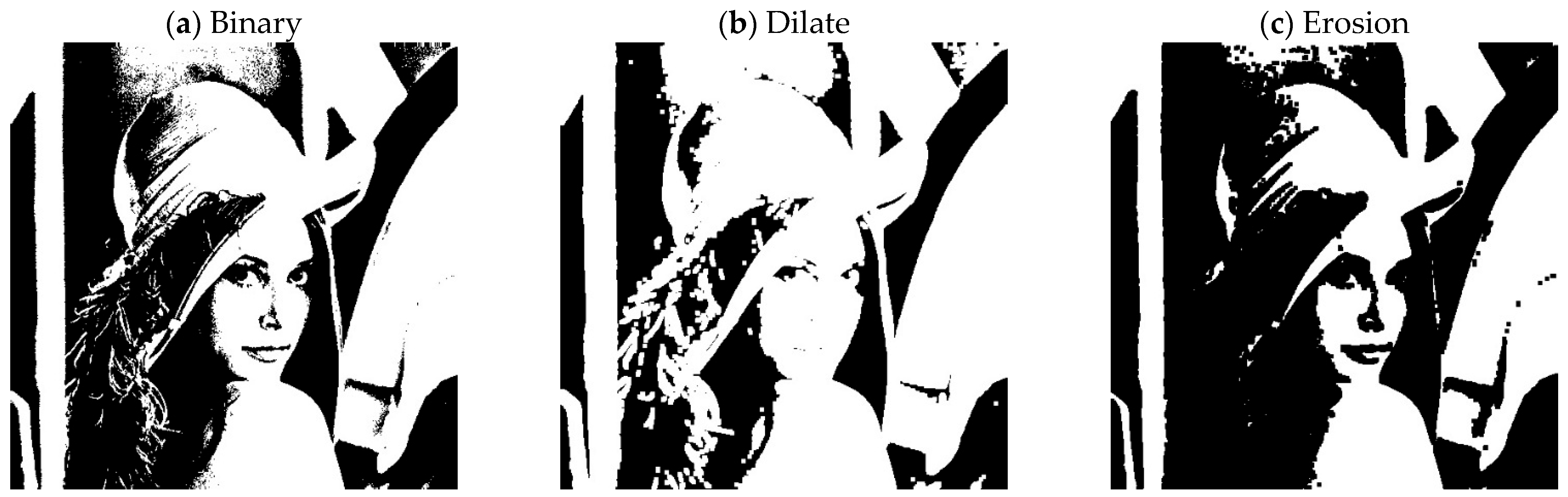 Geosciences 15 00207 g003a