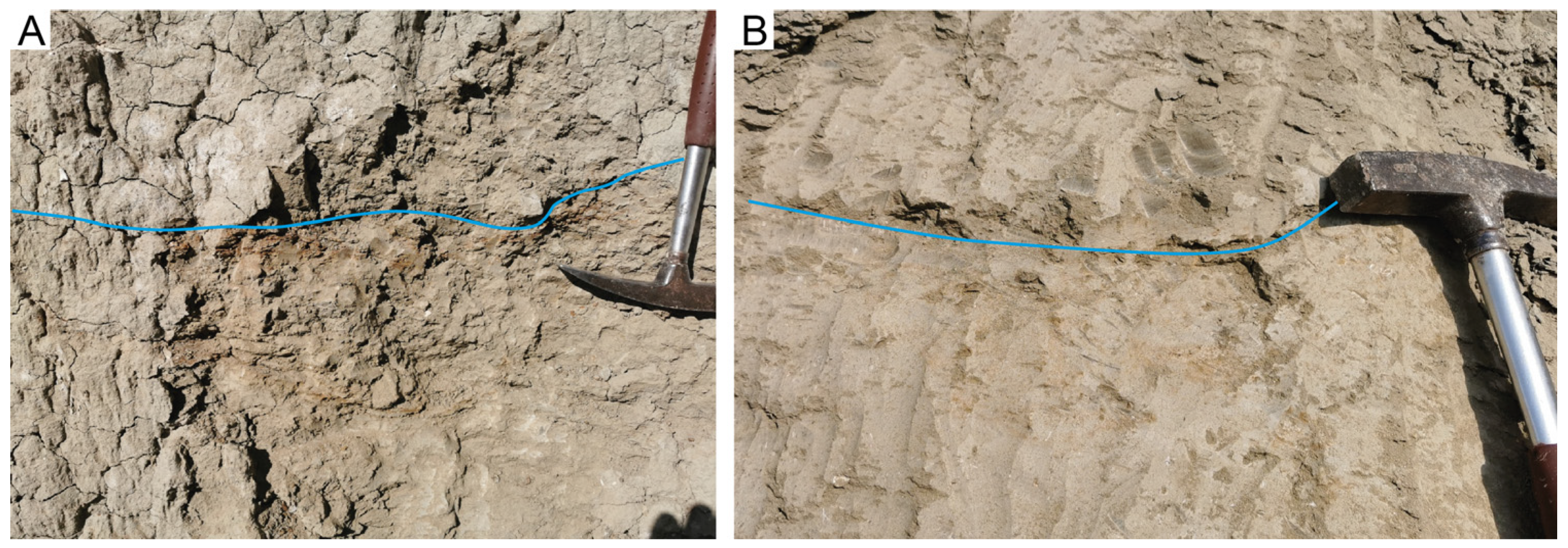 Geosciences 15 00210 g008