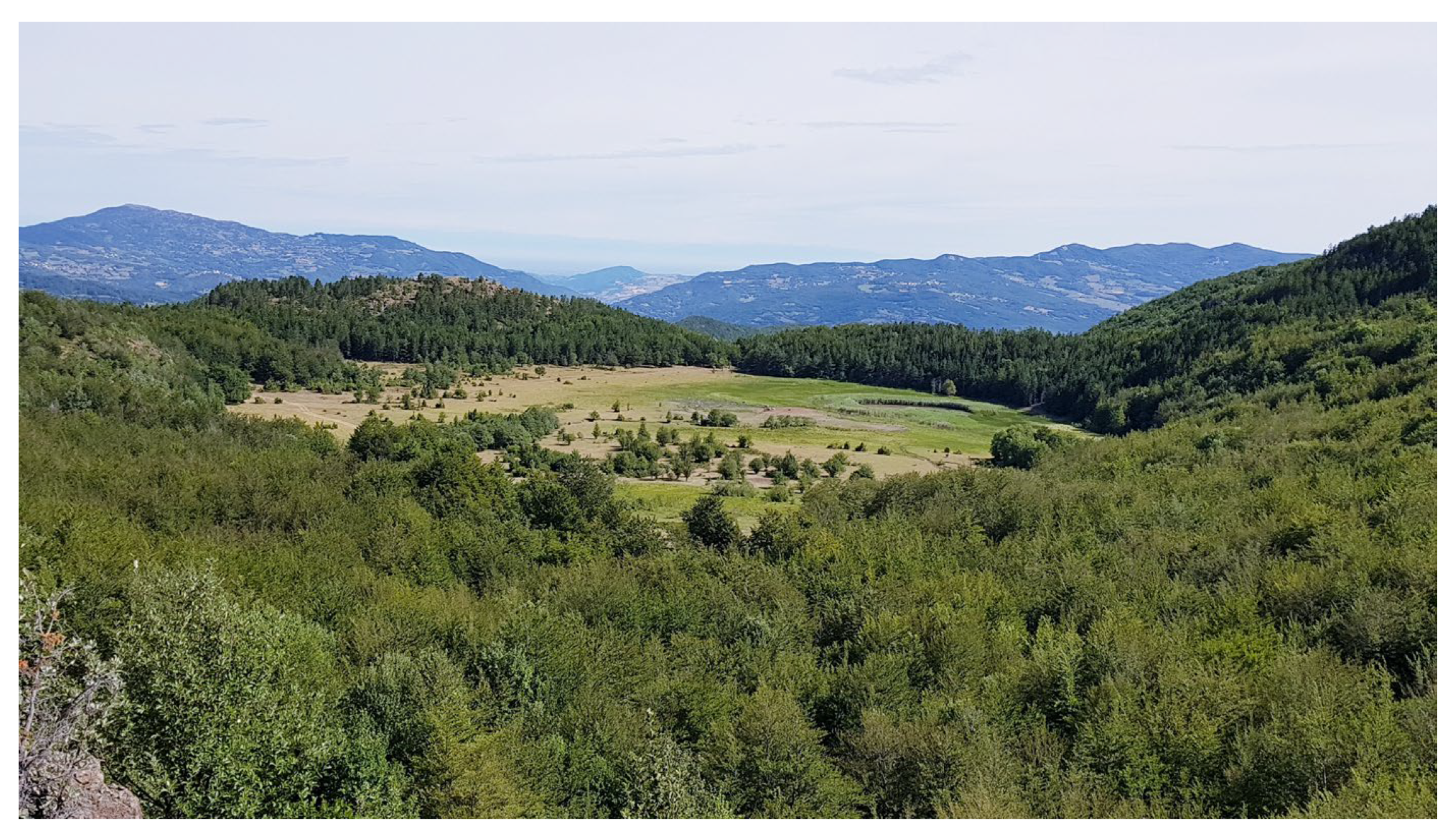 Geosciences 15 00217 g001