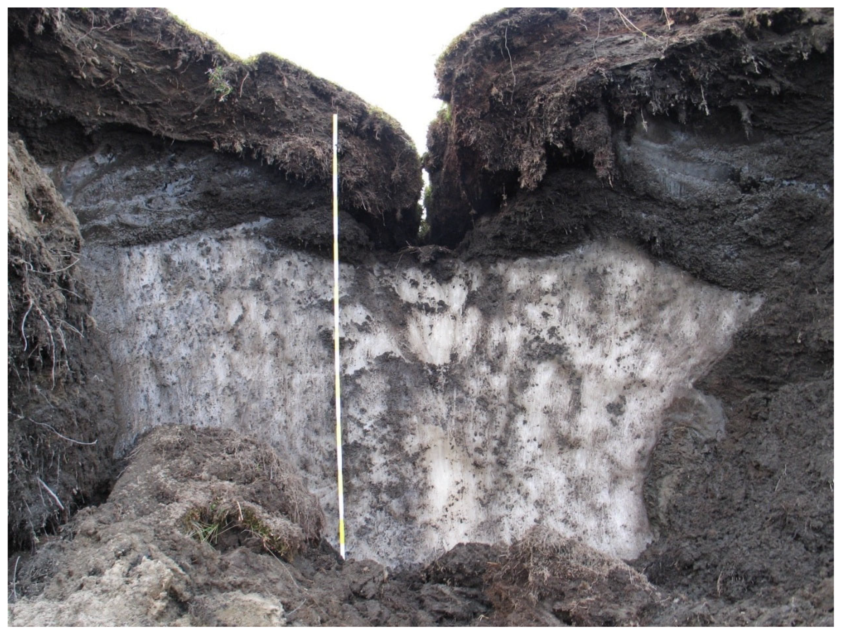 Geosciences 15 00249 g005