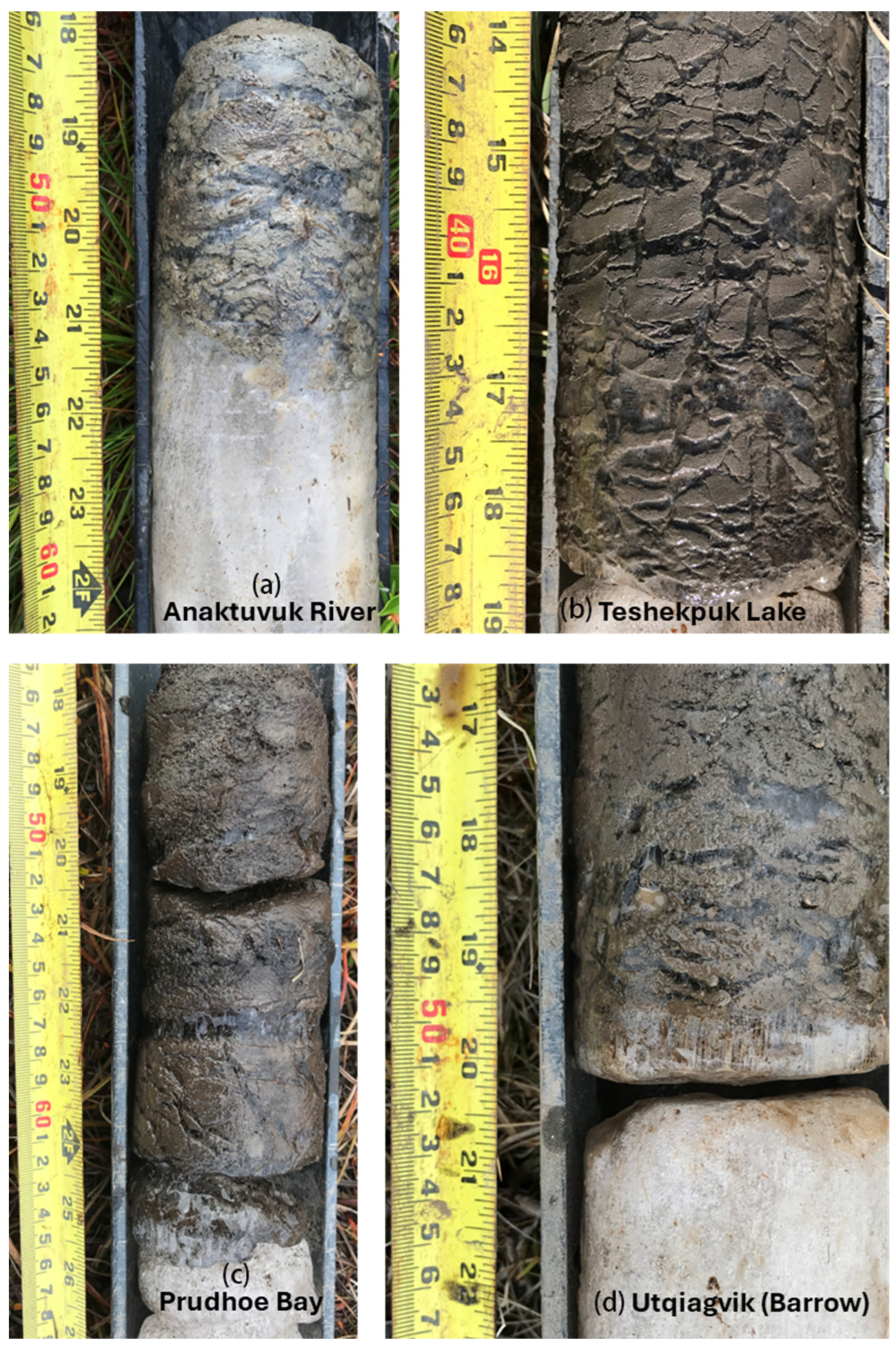 Geosciences 15 00249 g007