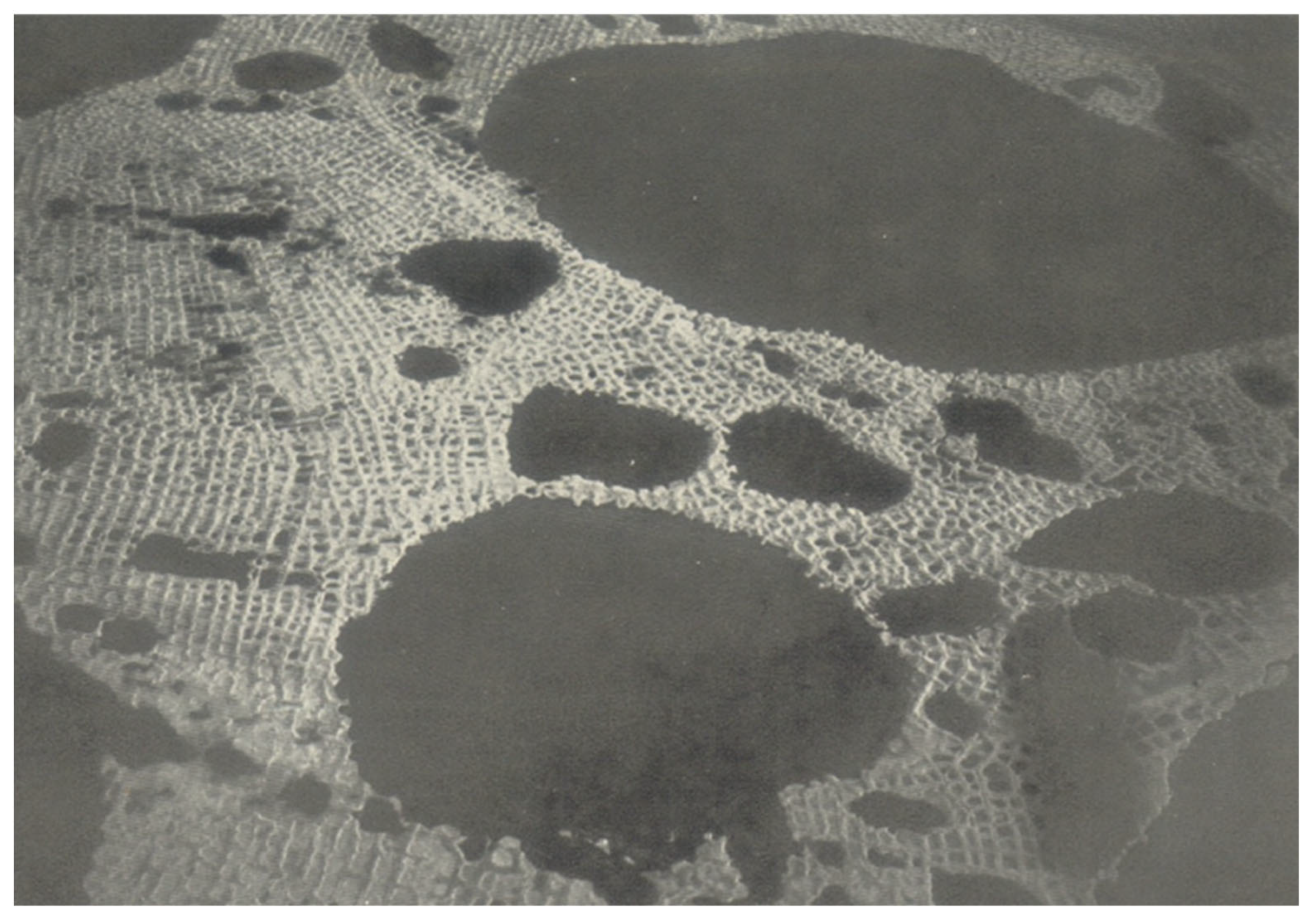 Geosciences 15 00249 g010