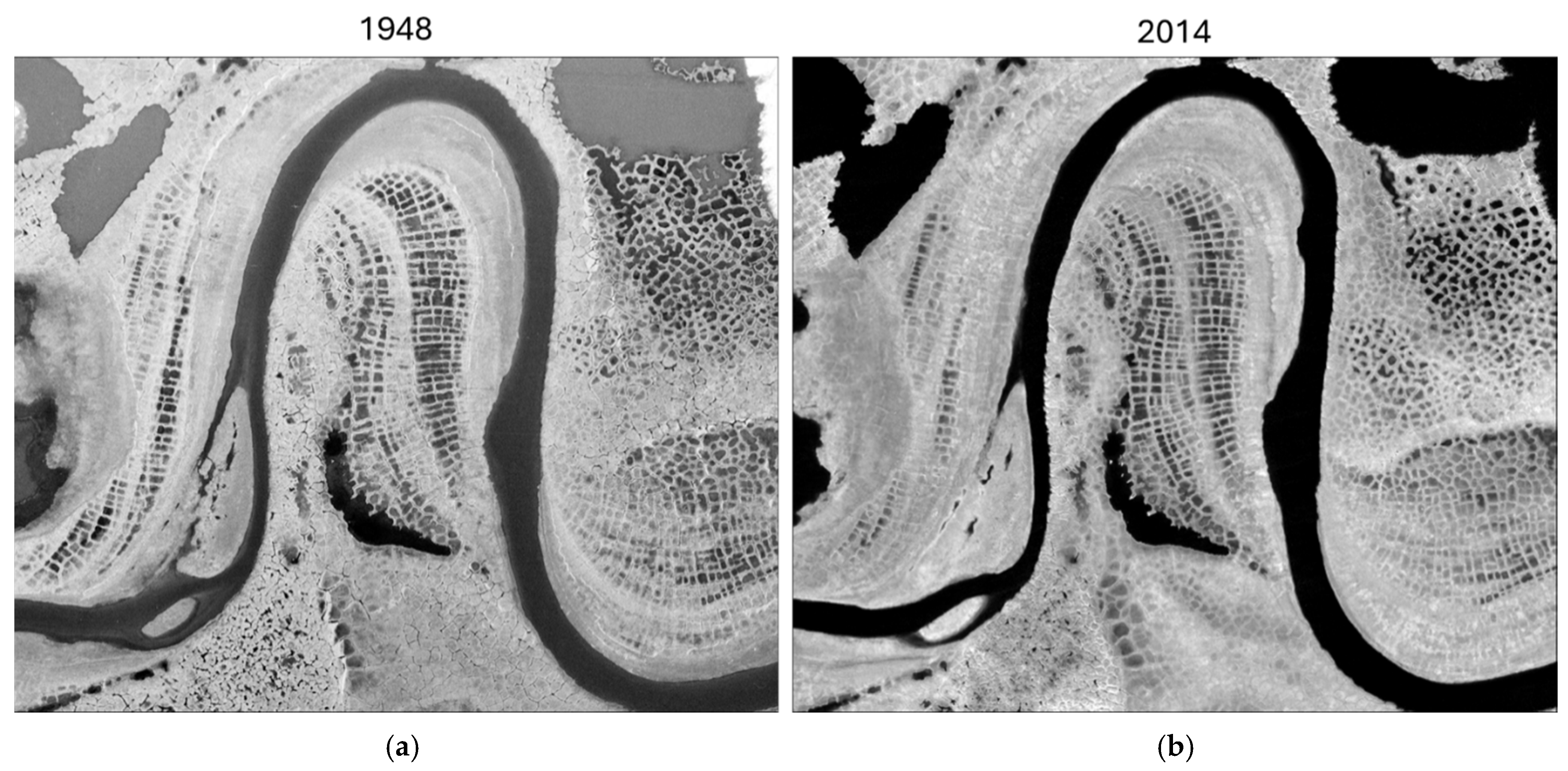 Geosciences 15 00249 g012