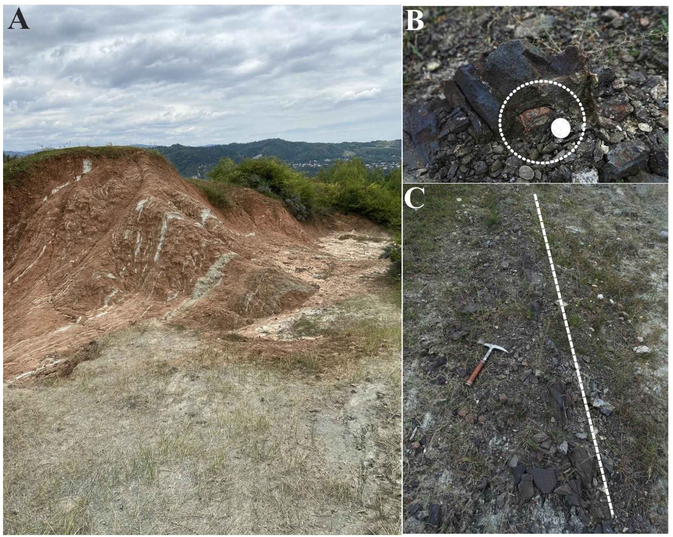 Geosciences 15 00256 g002
