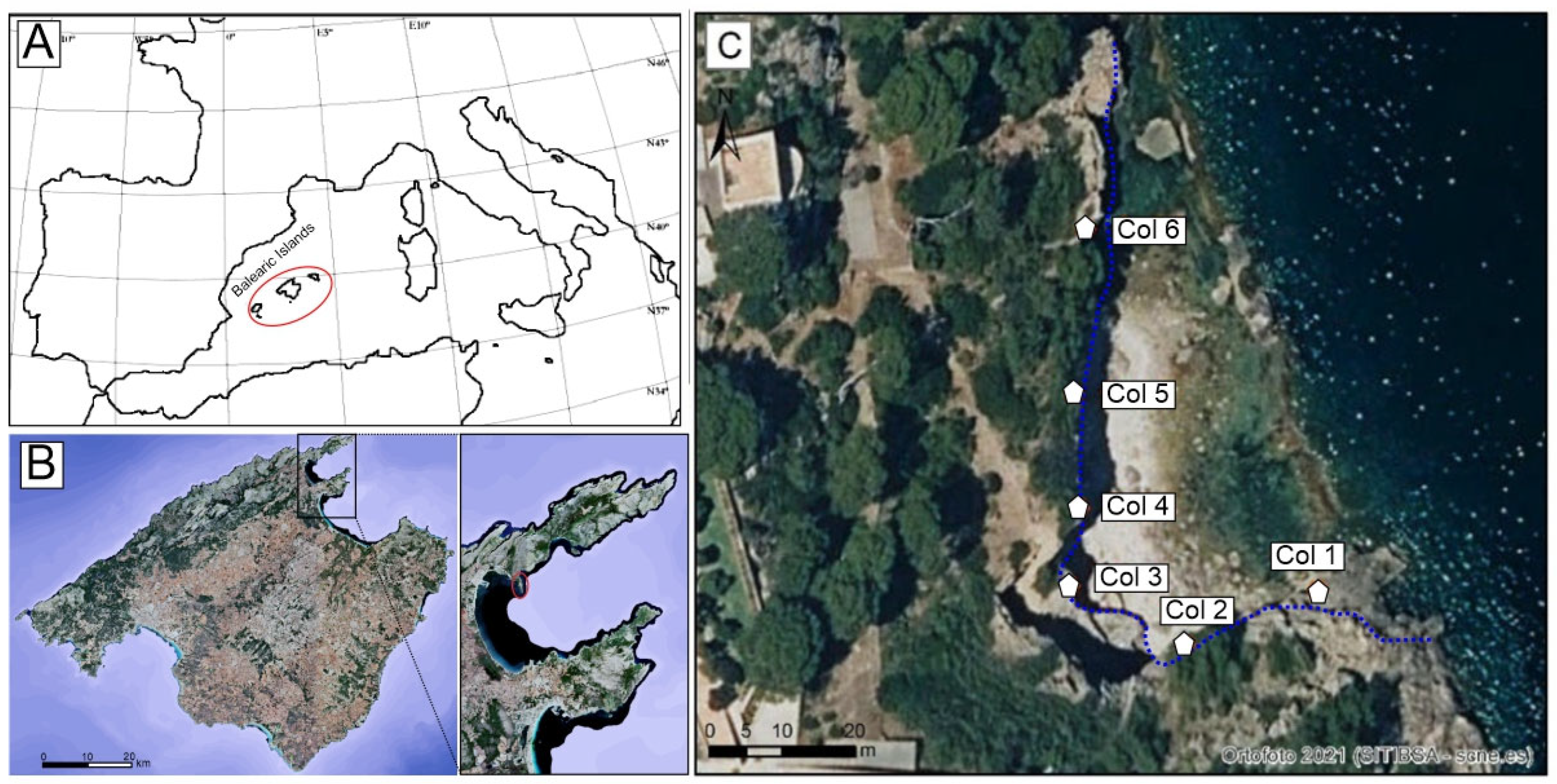Geosciences 15 00260 g001