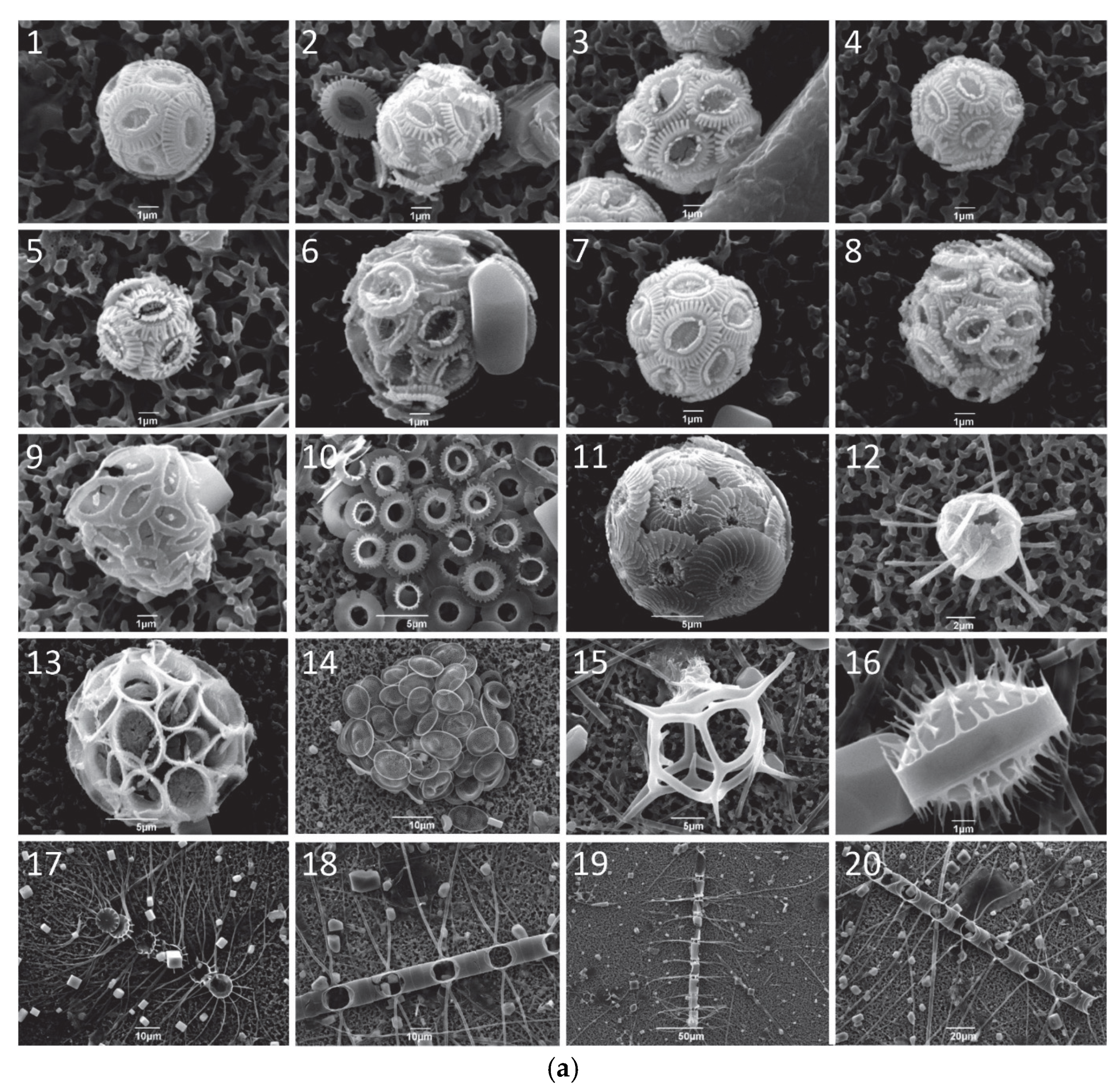 Geosciences 15 00268 g002a