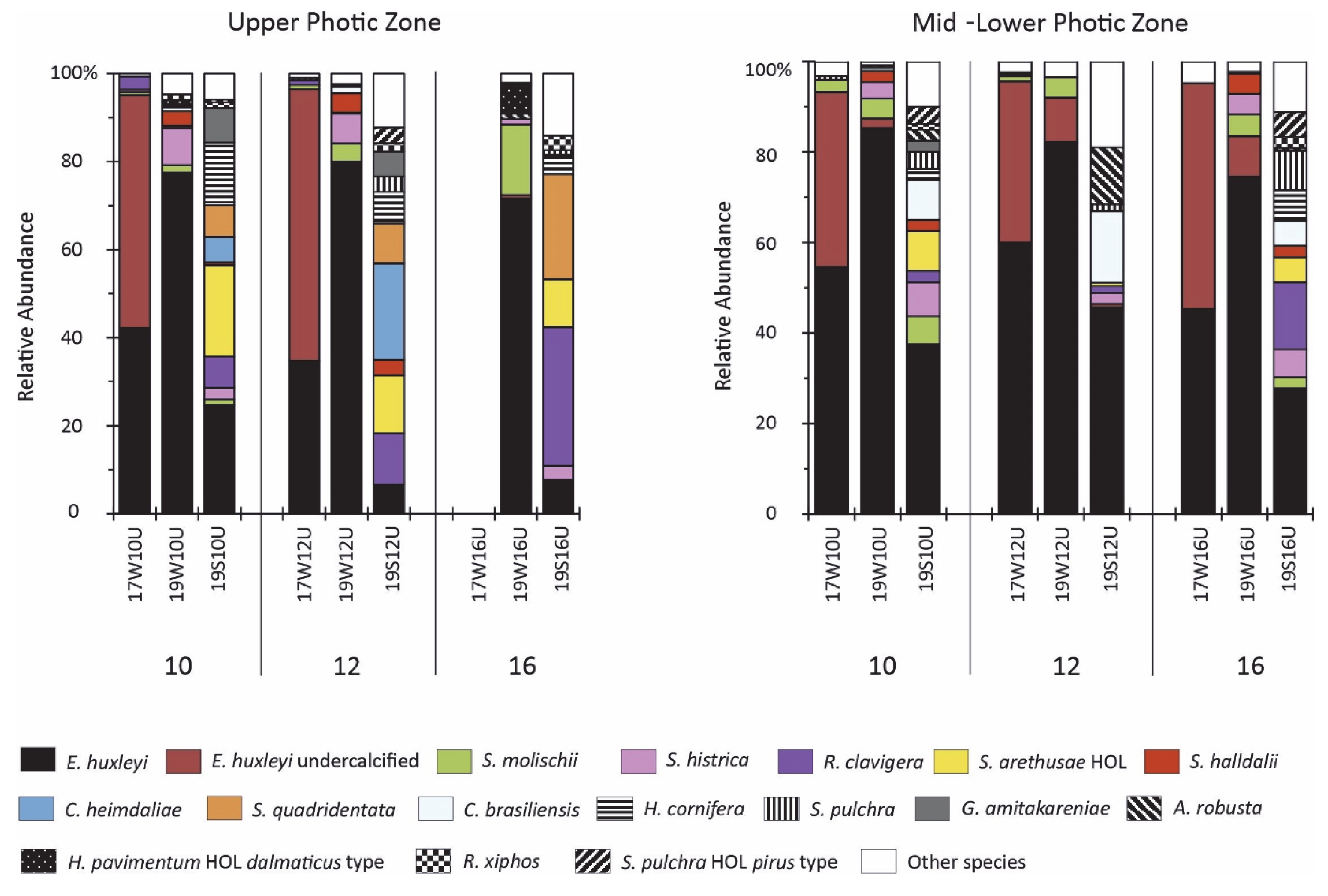 Geosciences 15 00268 g005