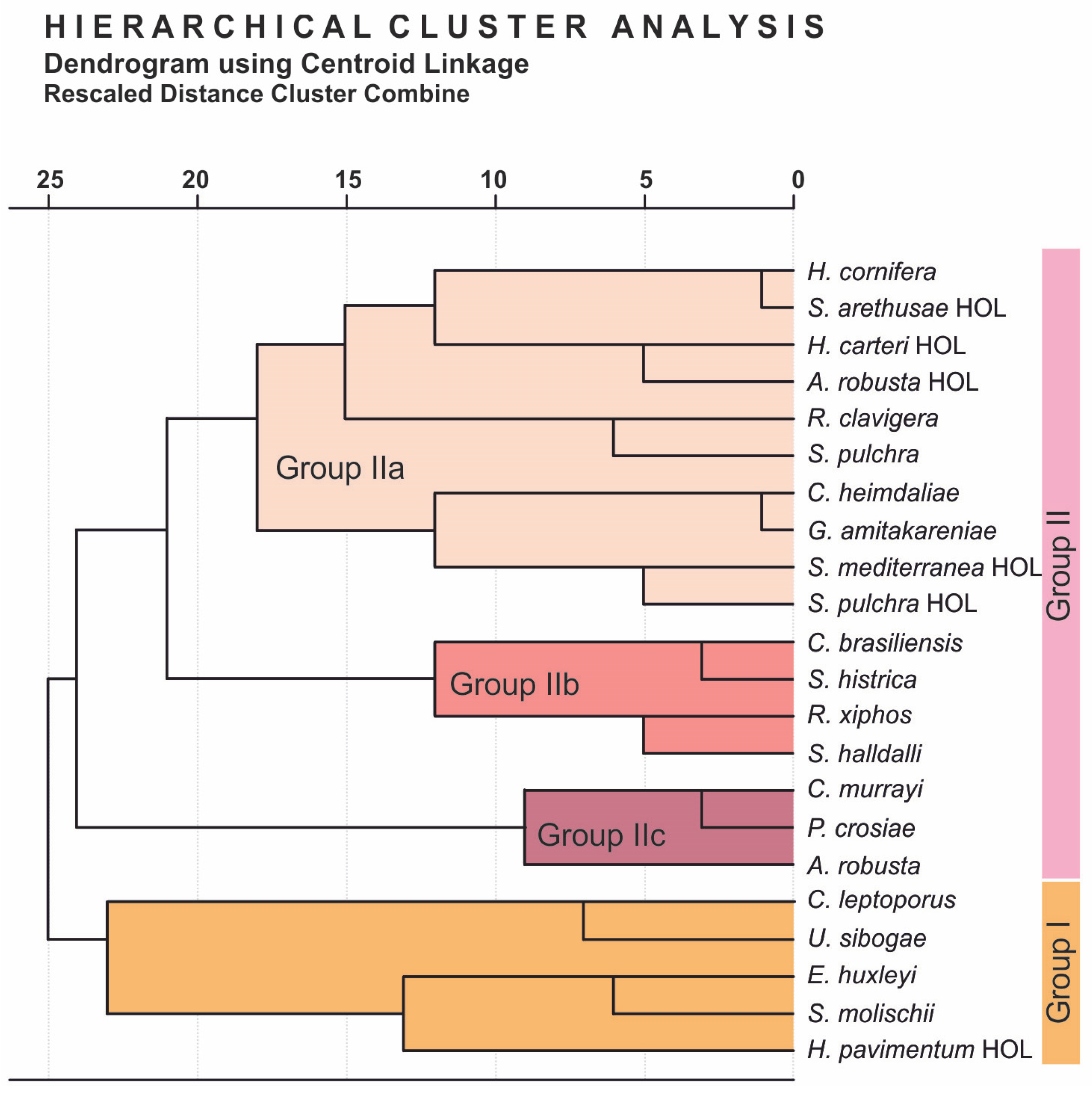 Geosciences 15 00268 g007