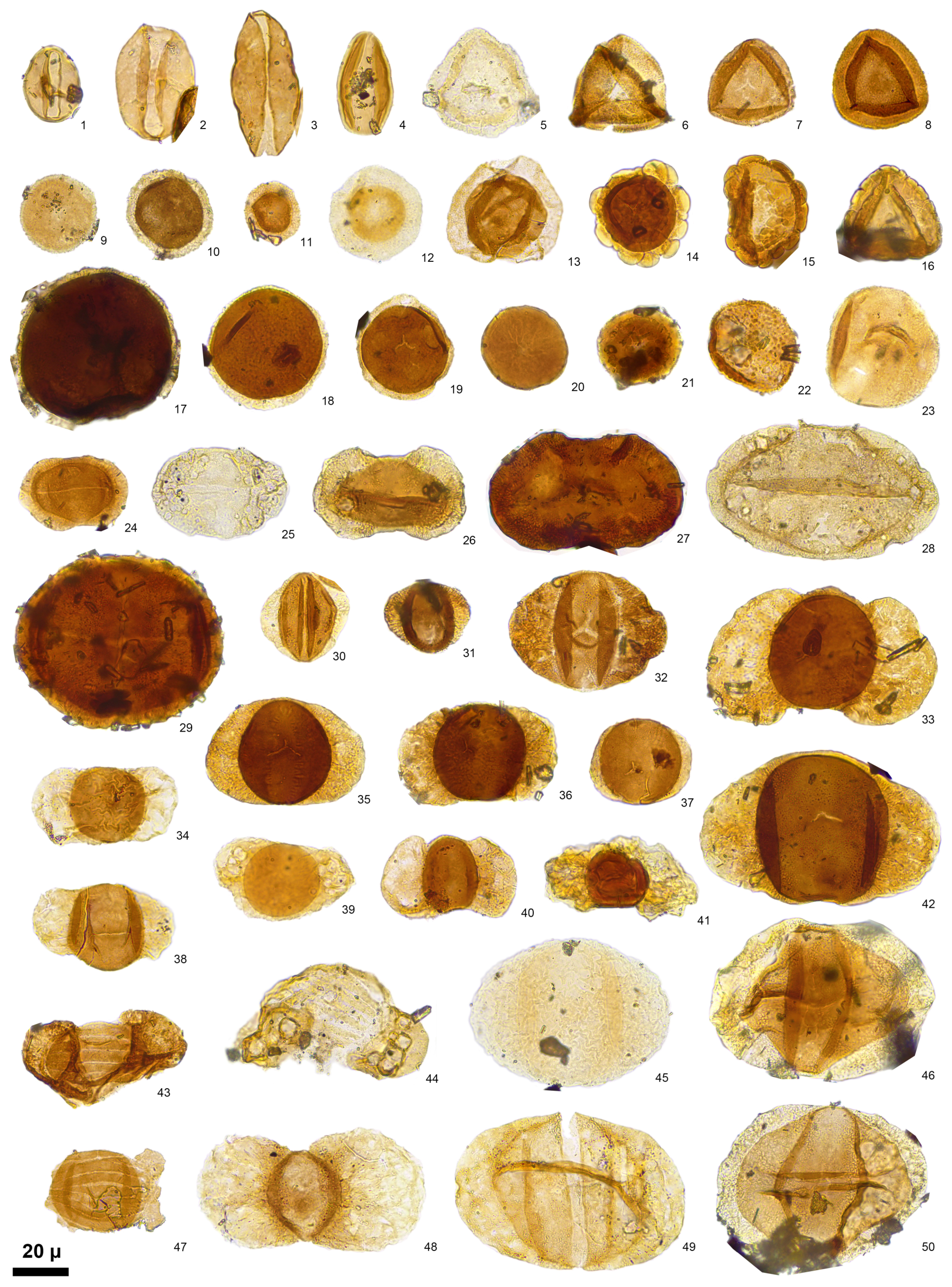 Geosciences 15 00299 g004