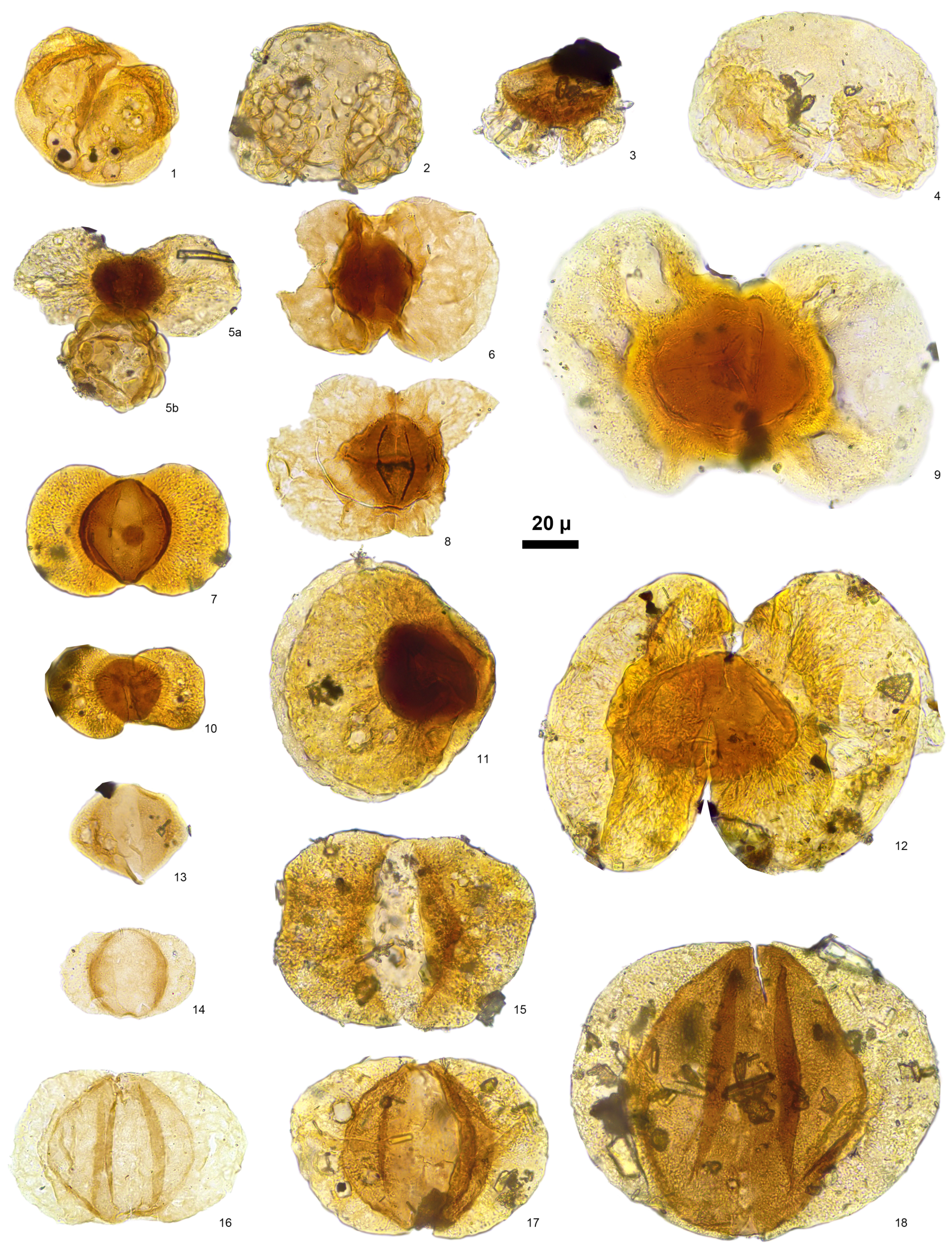 Geosciences 15 00299 g005