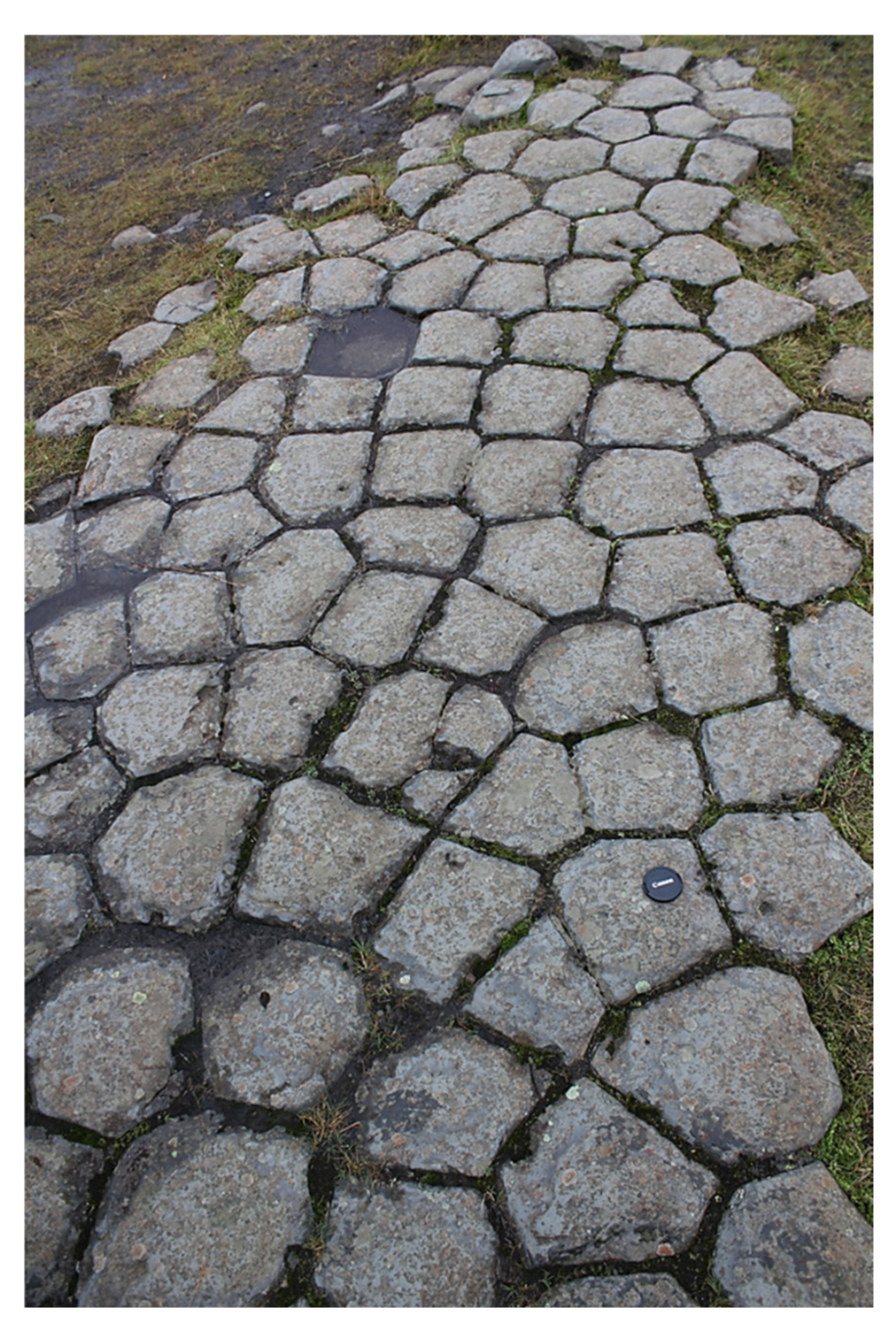 Geosciences 15 00301 g009