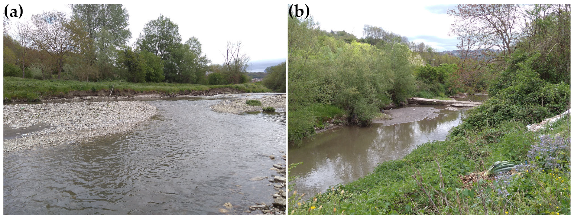 Geosciences 15 00308 g008