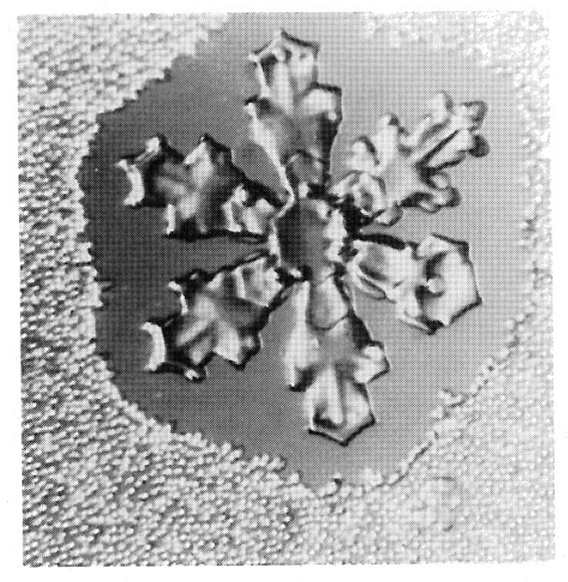 Geosciences 15 00312 g019