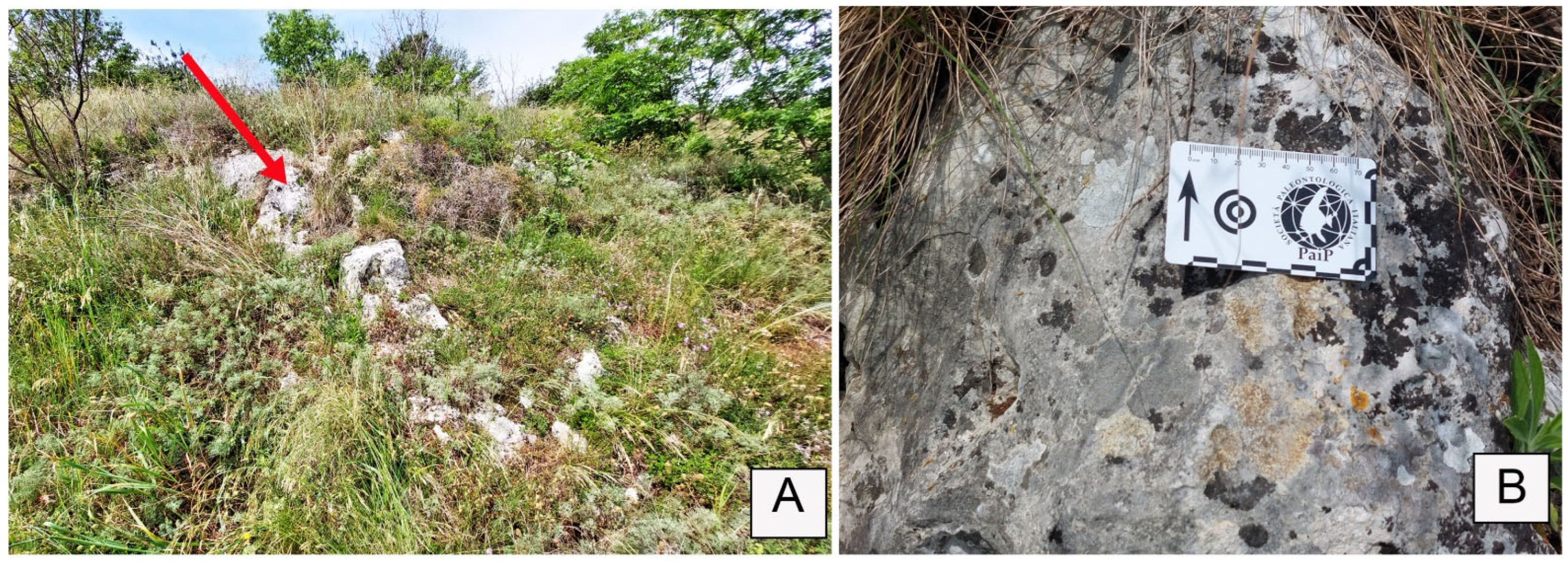 Geosciences 15 00334 g002