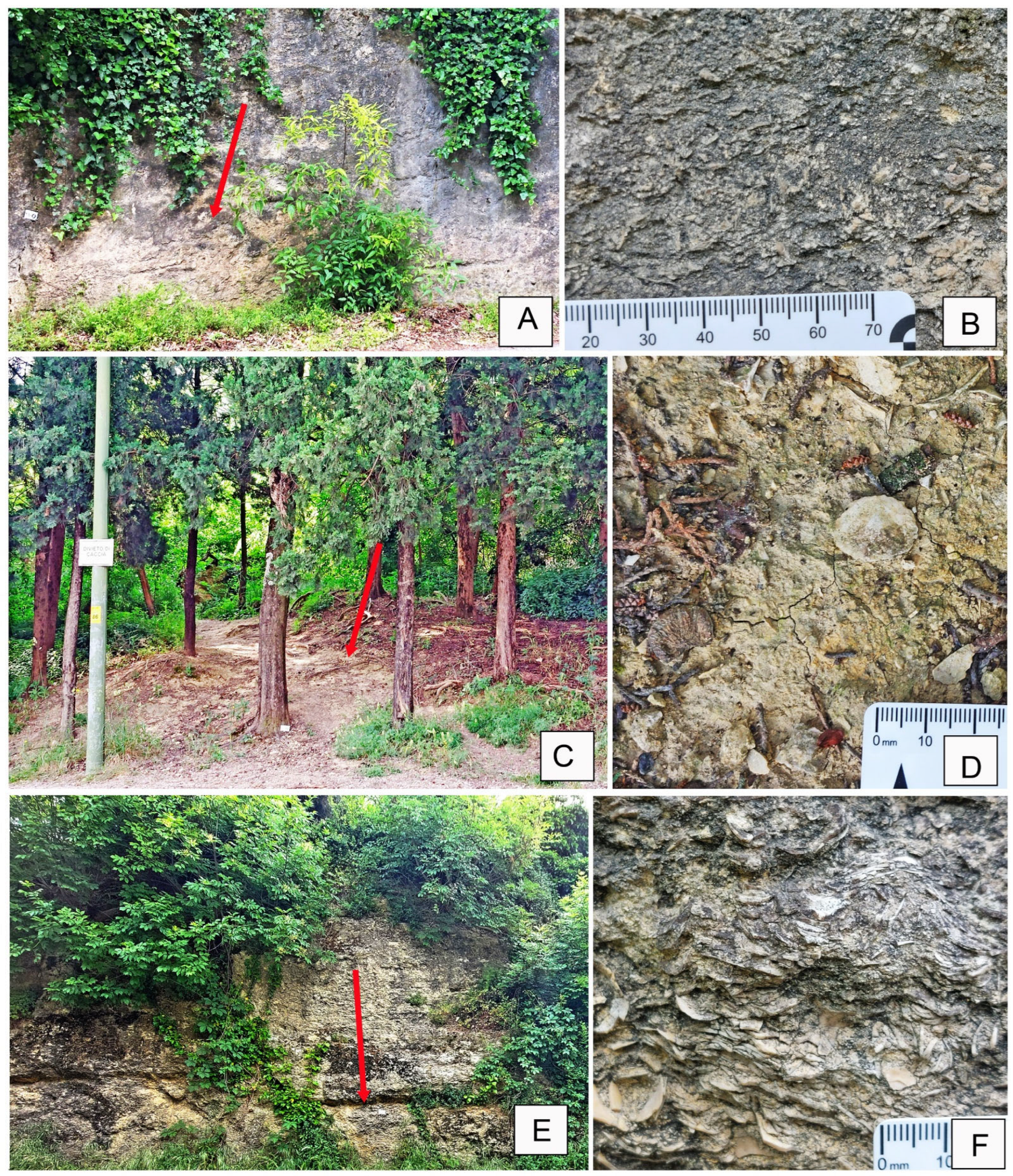 Geosciences 15 00334 g004