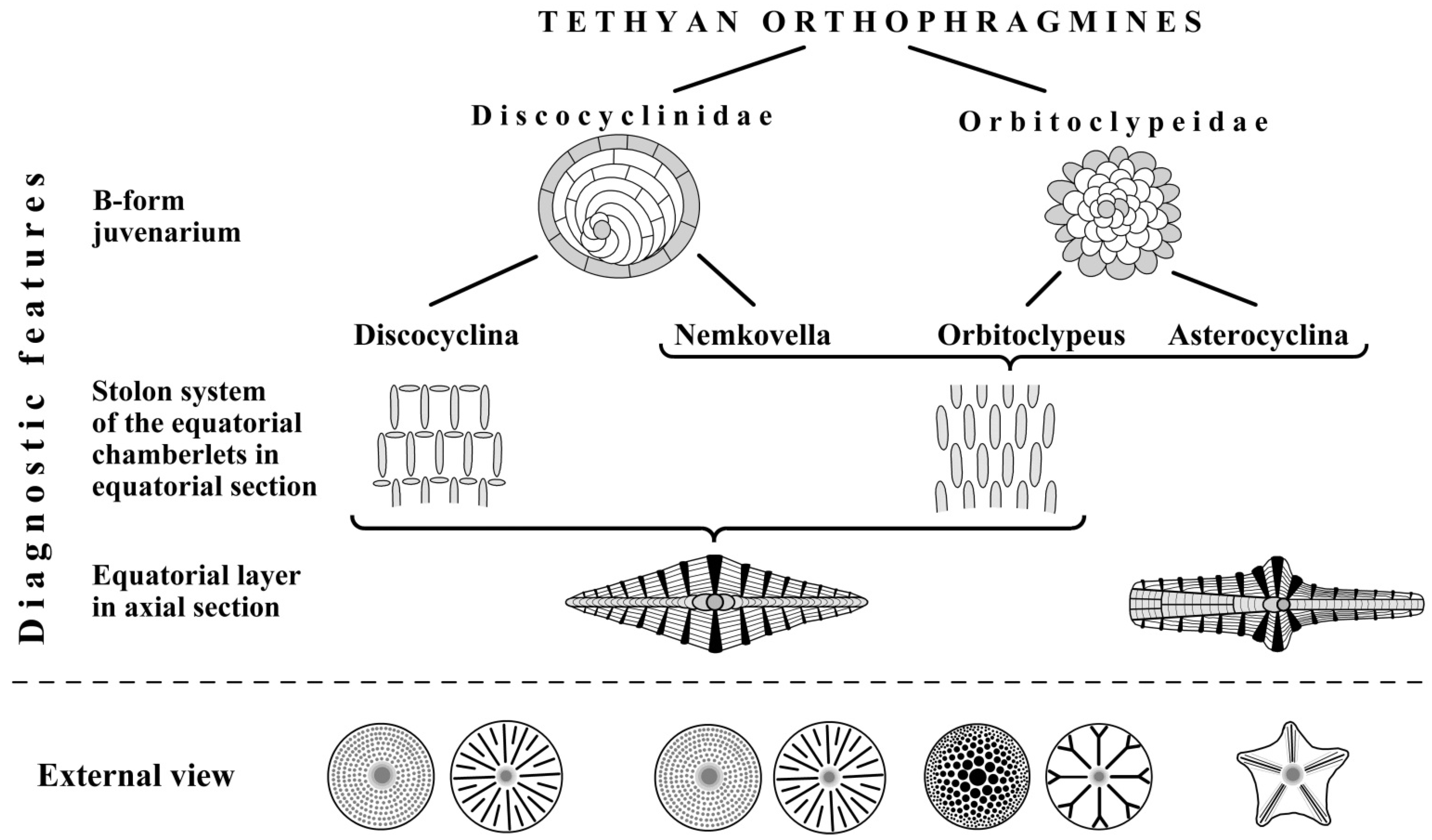 Geosciences 15 00334 g005