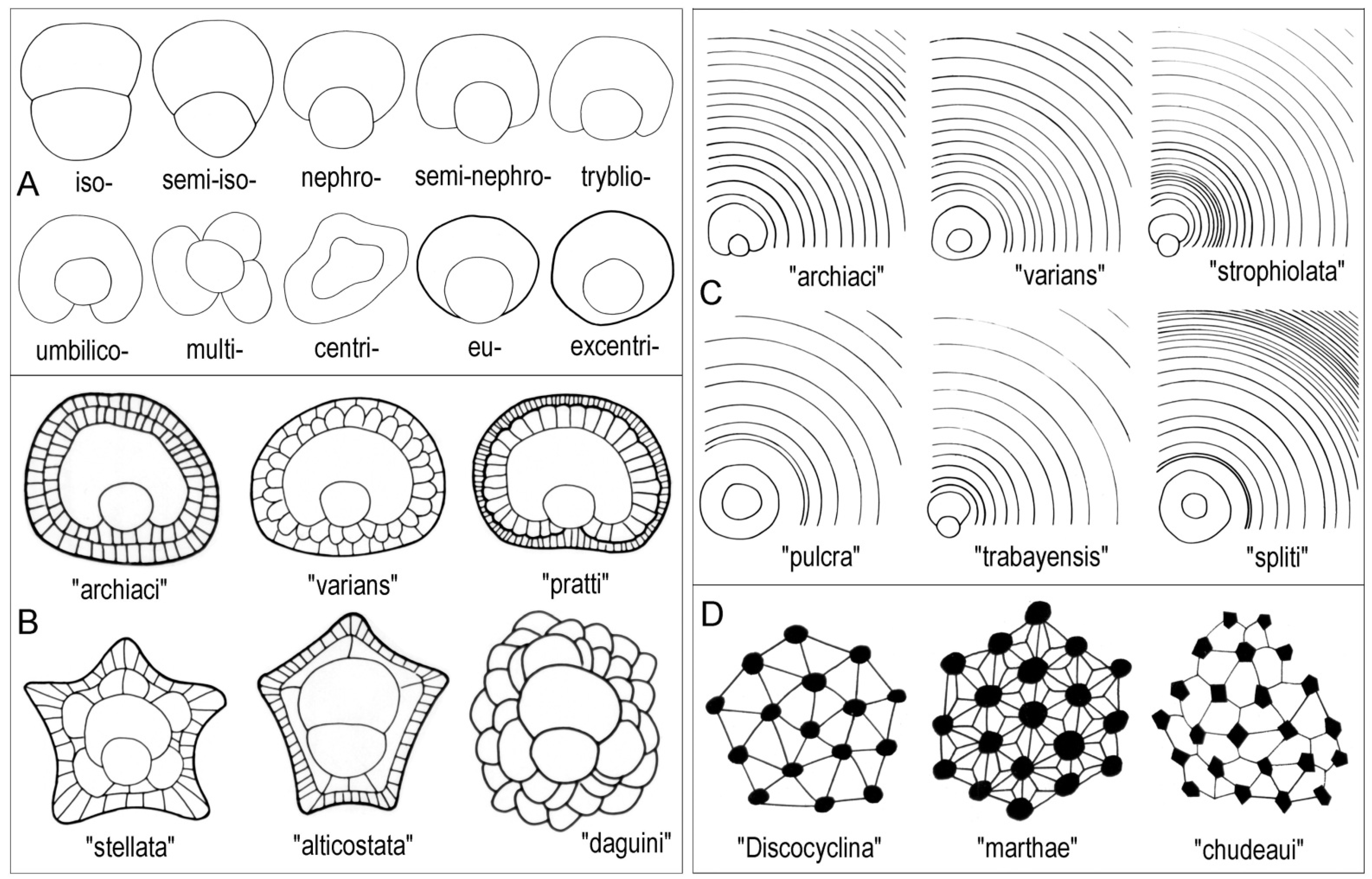 Geosciences 15 00334 g006