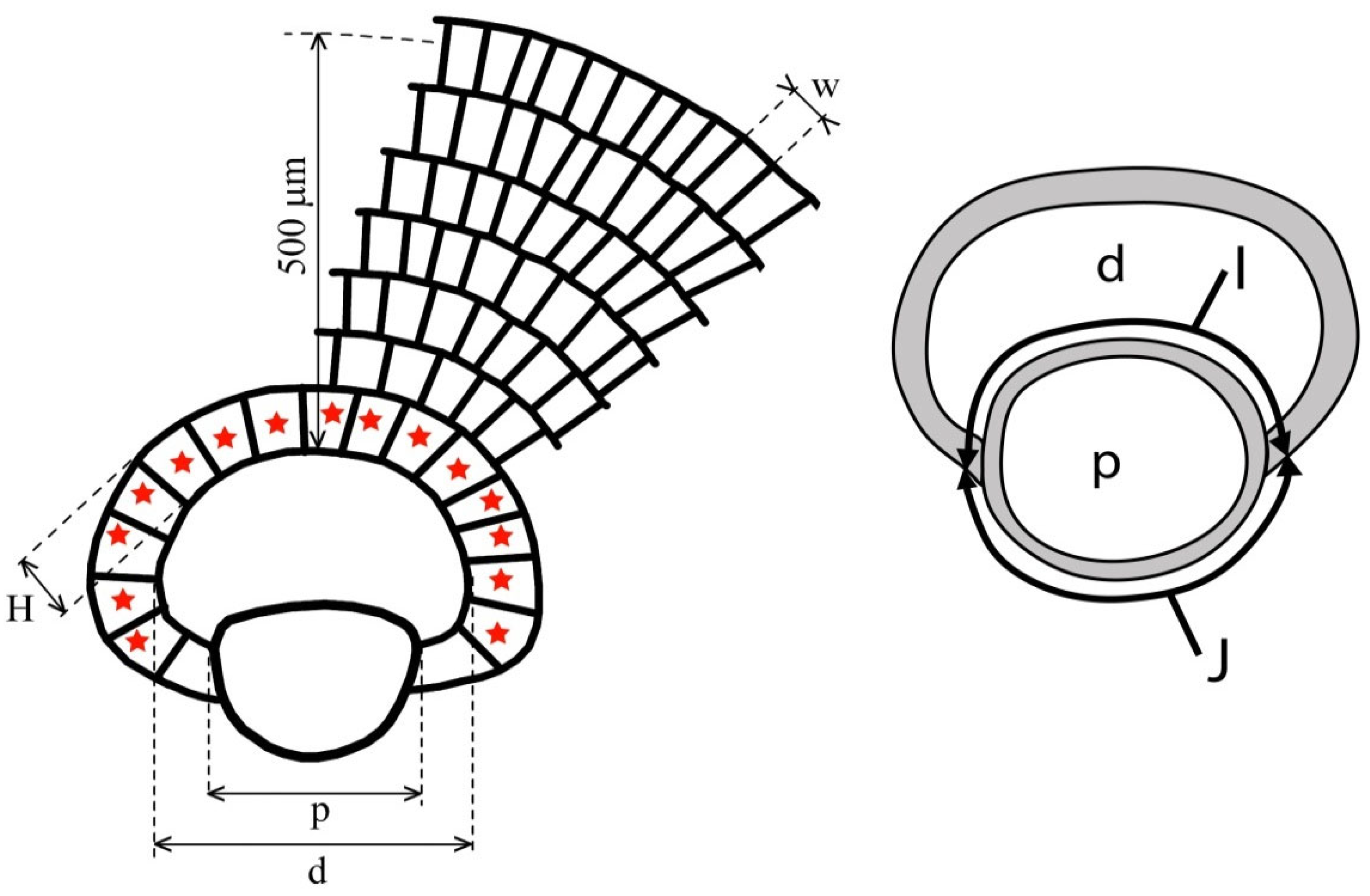 Geosciences 15 00334 g007