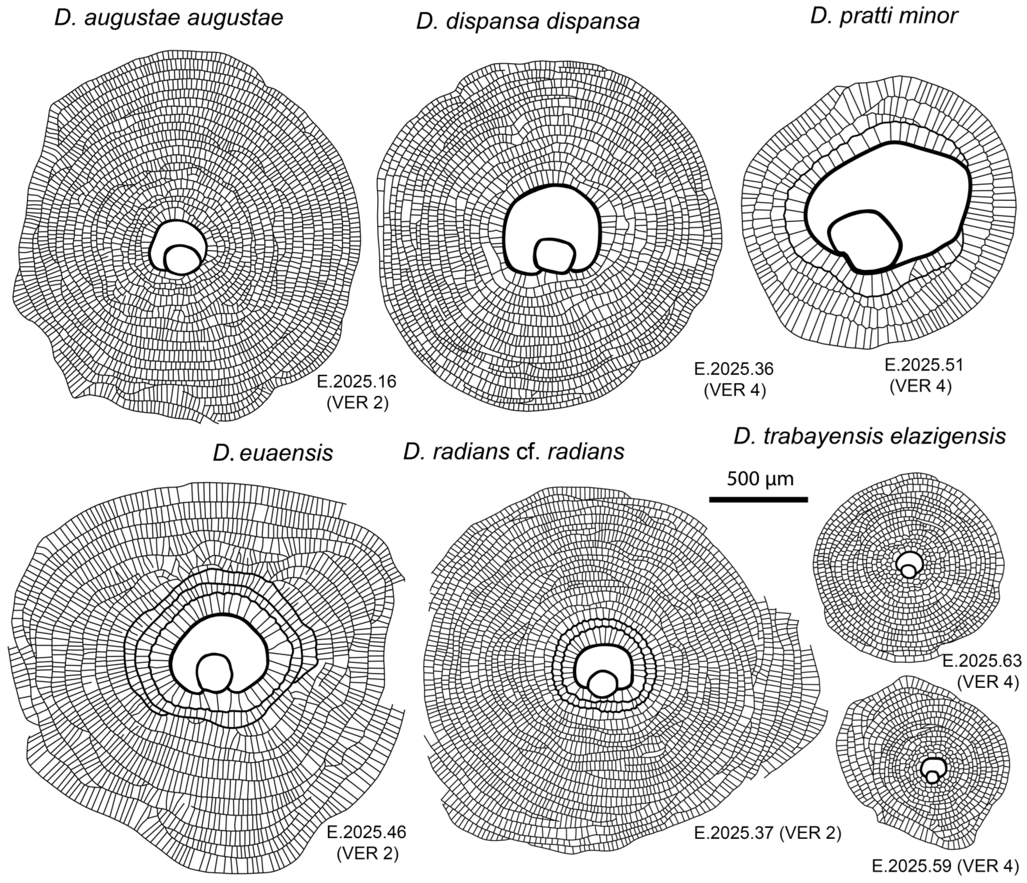 Geosciences 15 00334 g009