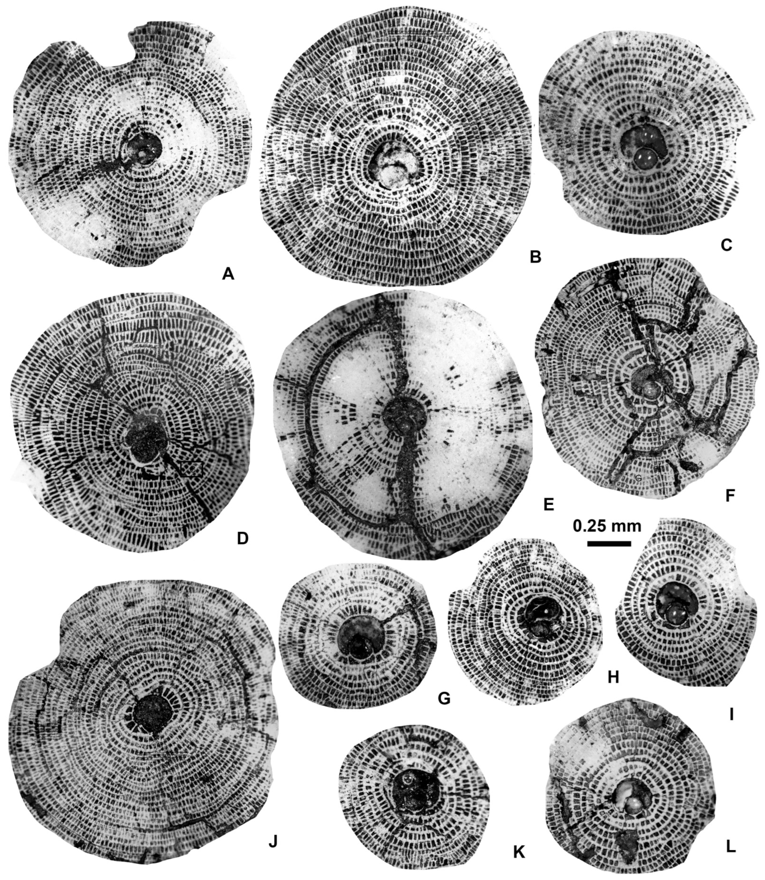 Geosciences 15 00334 g010