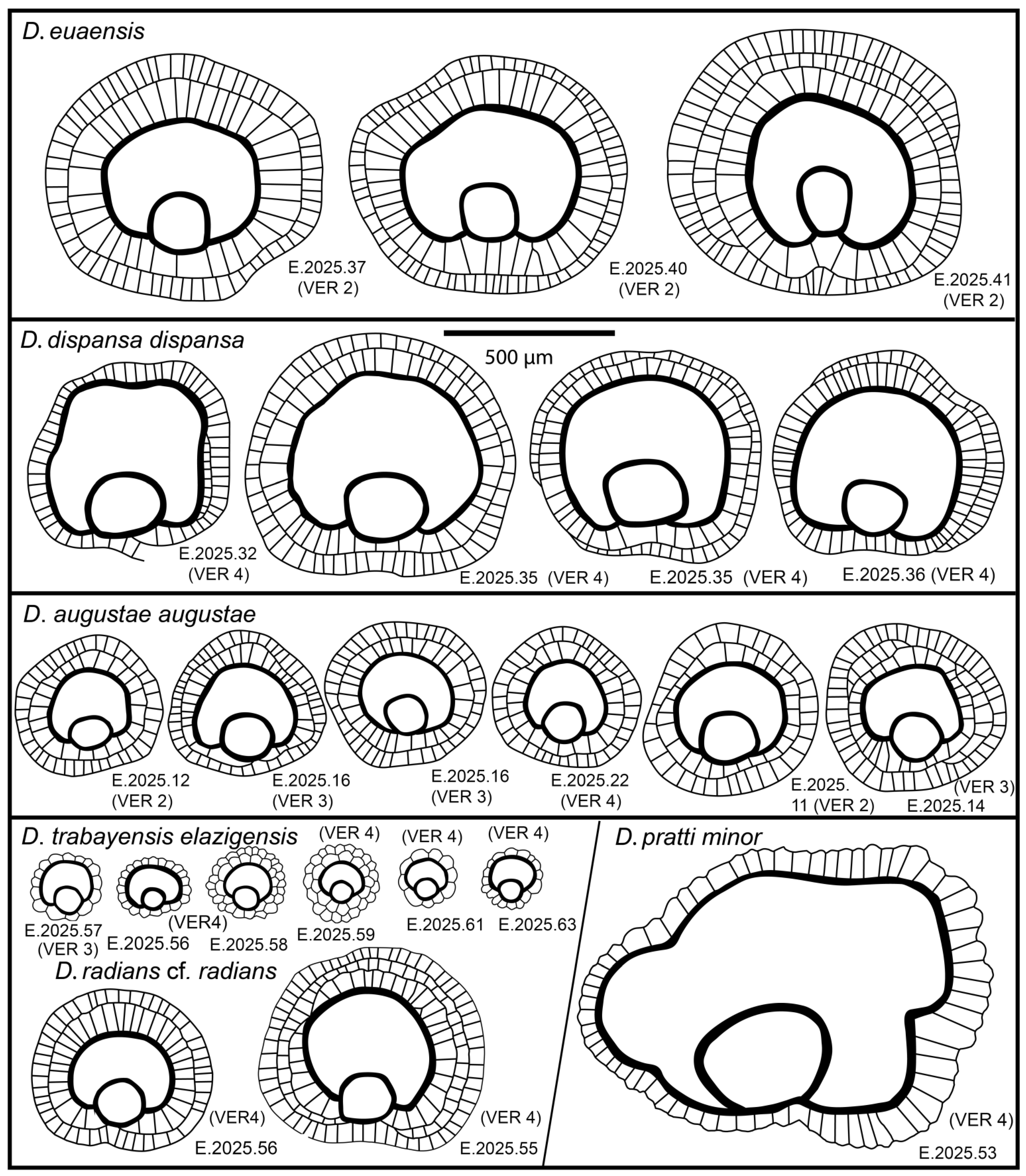 Geosciences 15 00334 g011