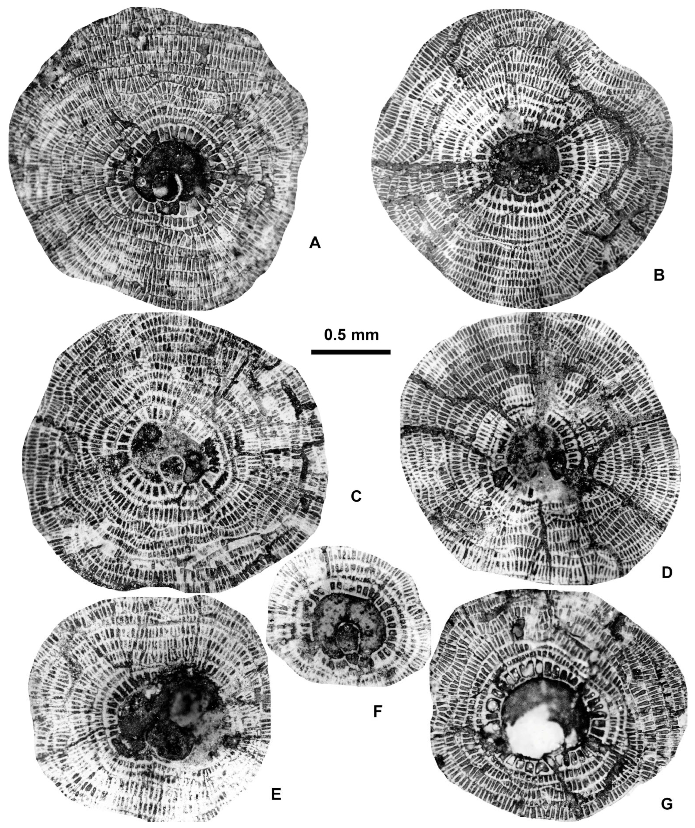 Geosciences 15 00334 g015