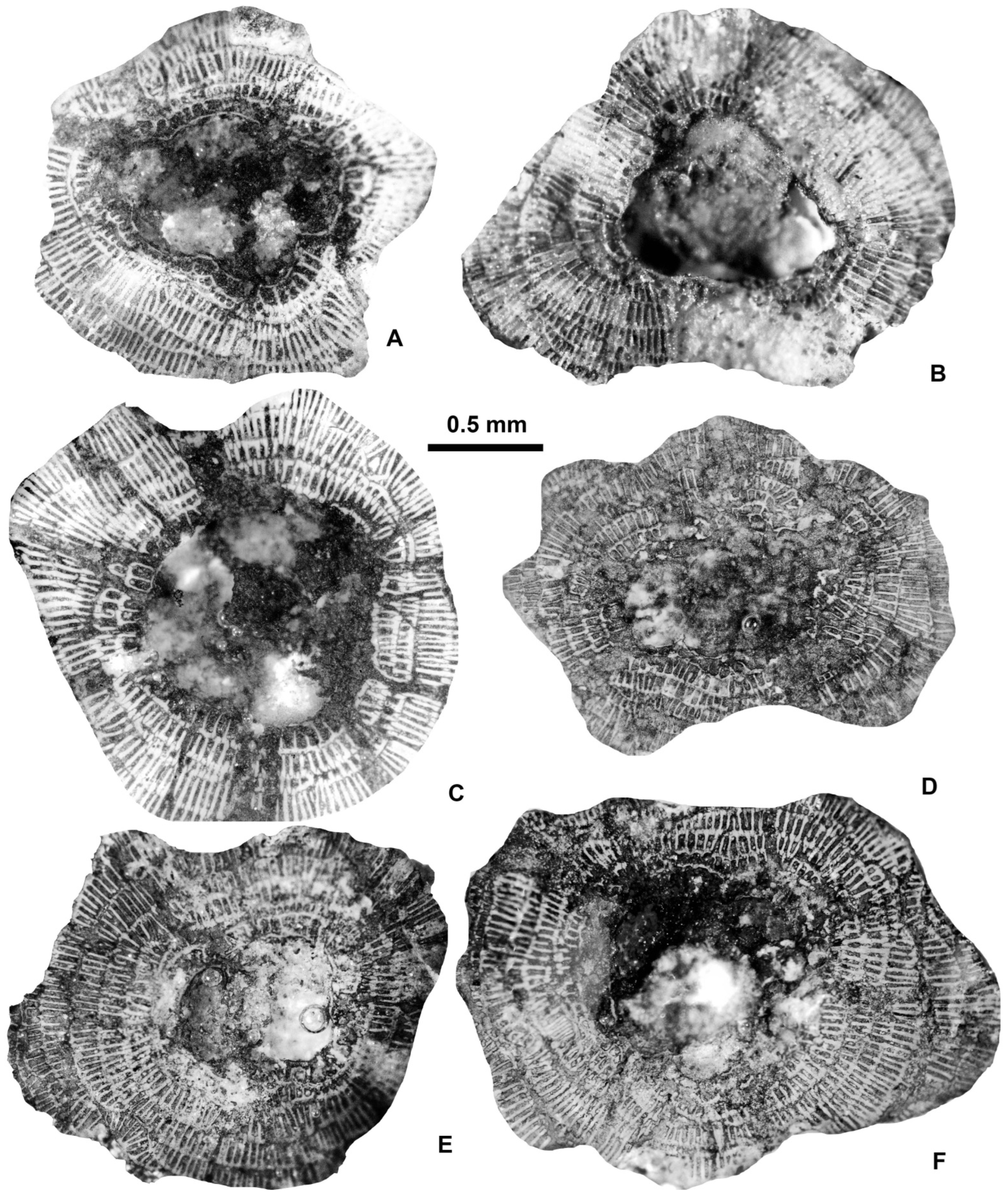 Geosciences 15 00334 g017