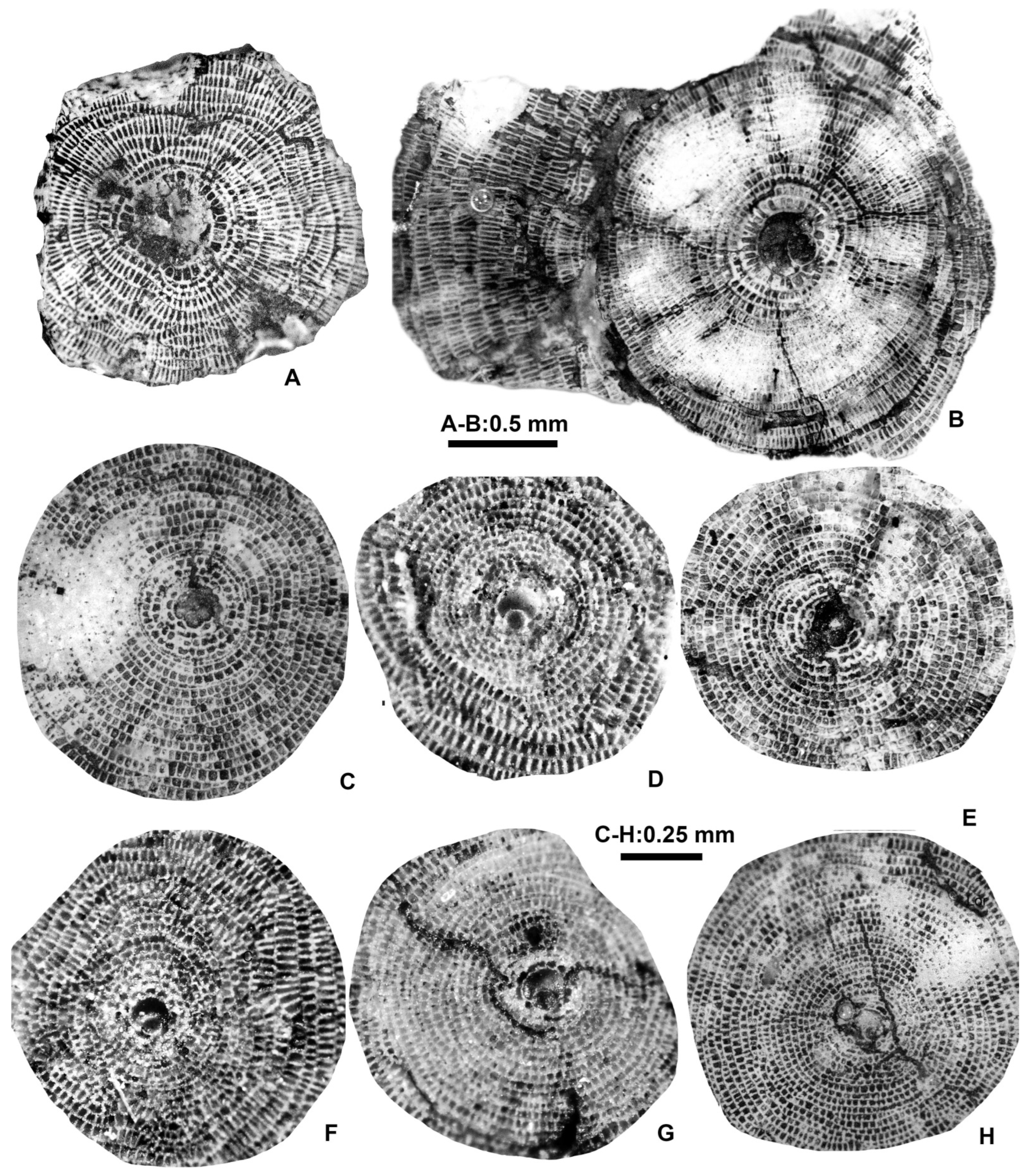 Geosciences 15 00334 g019