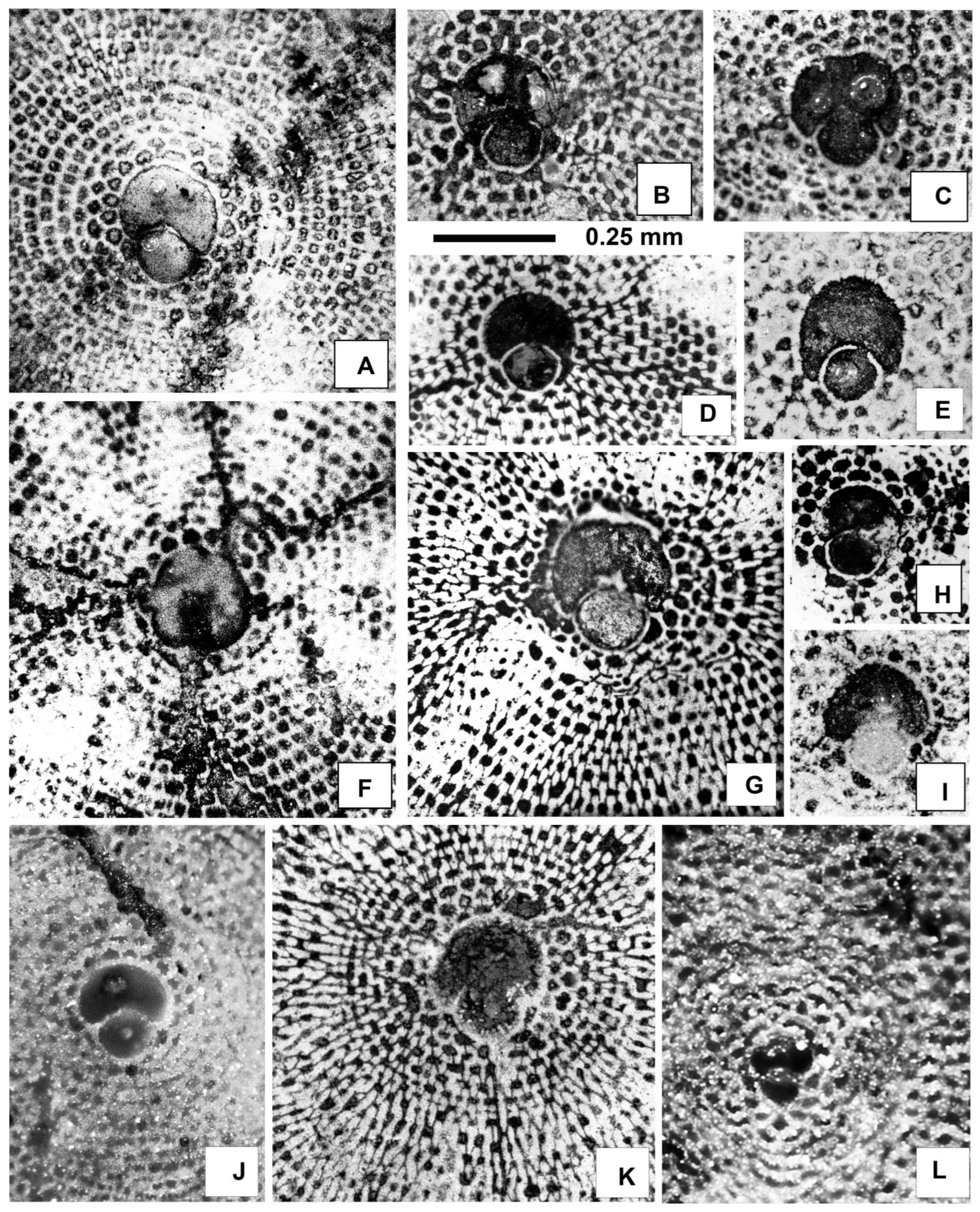 Geosciences 15 00334 g020