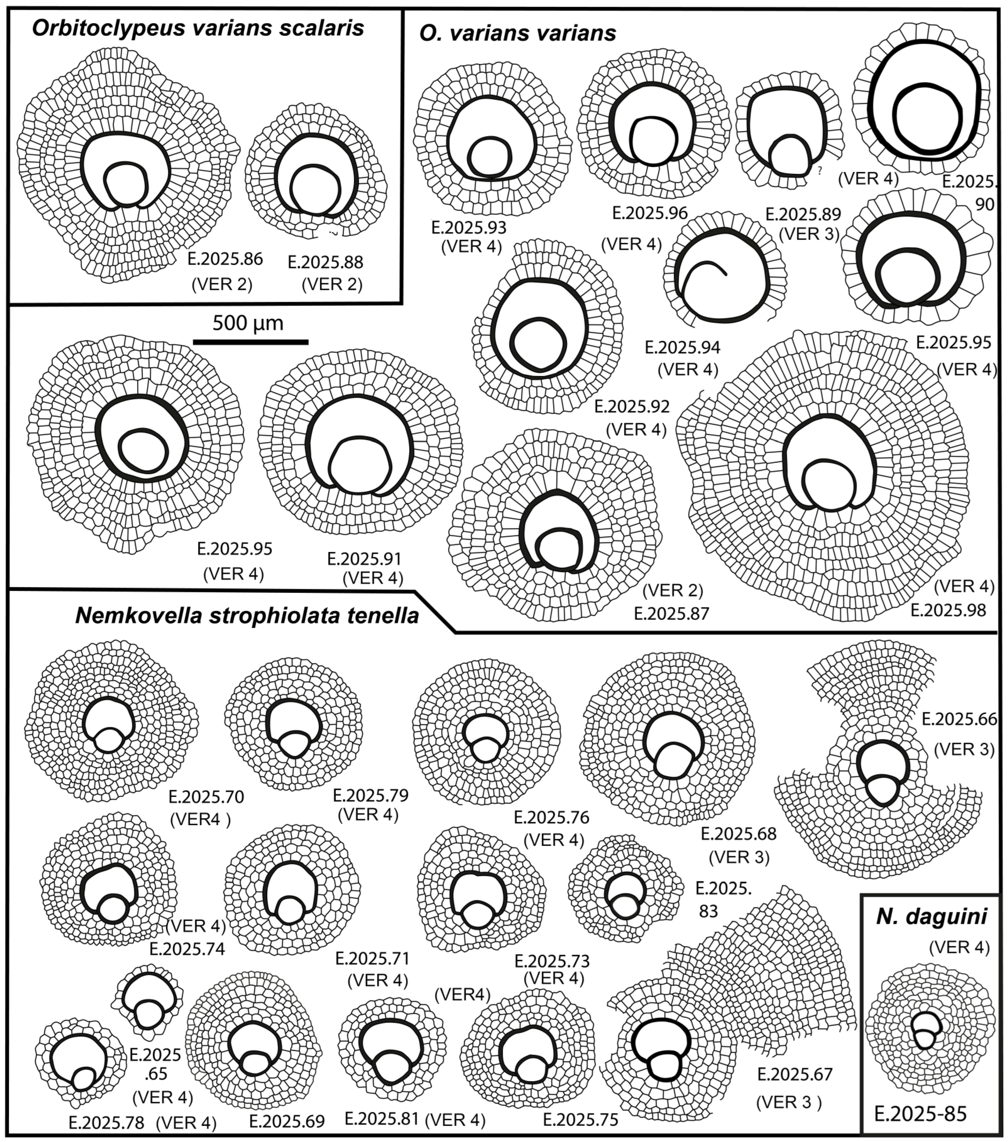 Geosciences 15 00334 g021