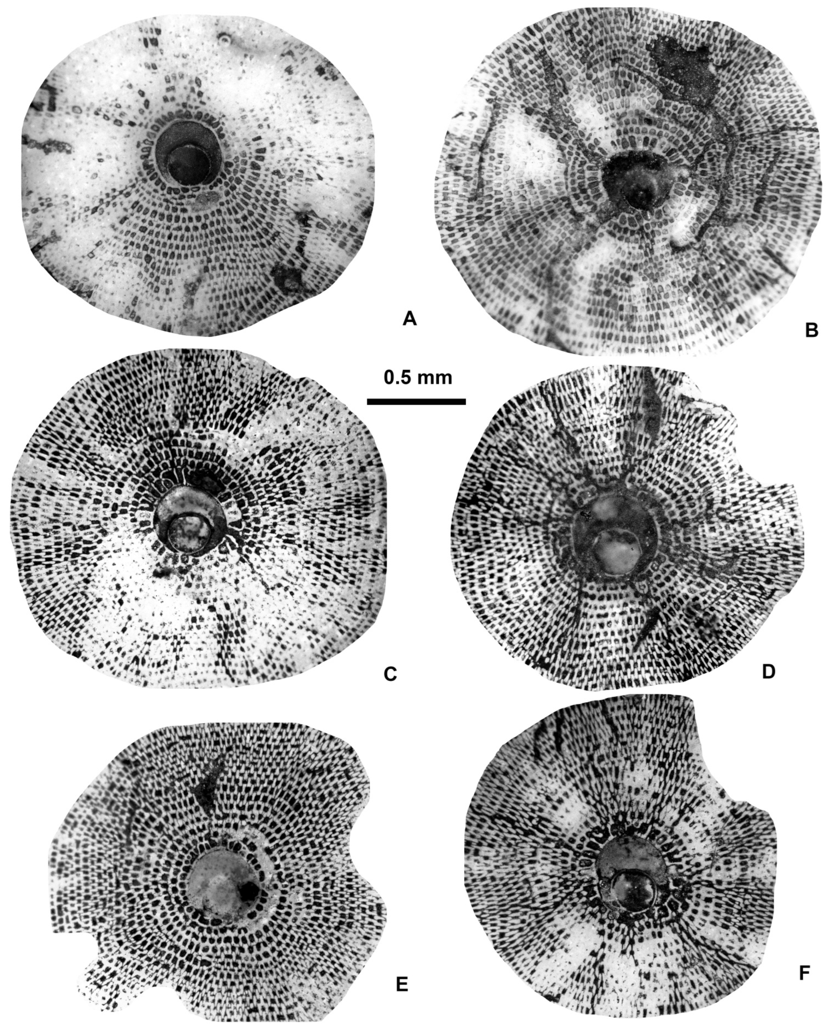 Geosciences 15 00334 g023