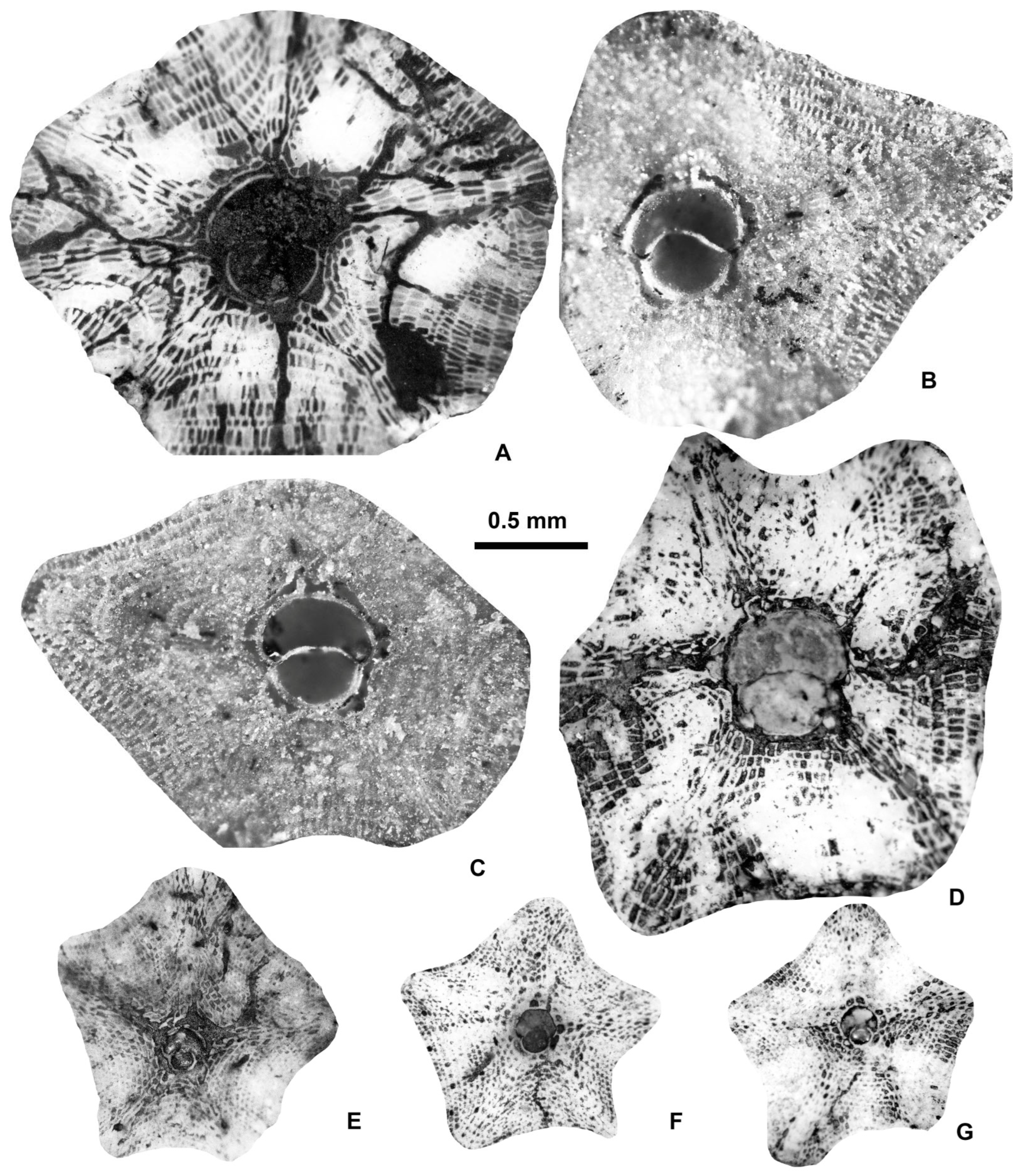 Geosciences 15 00334 g025