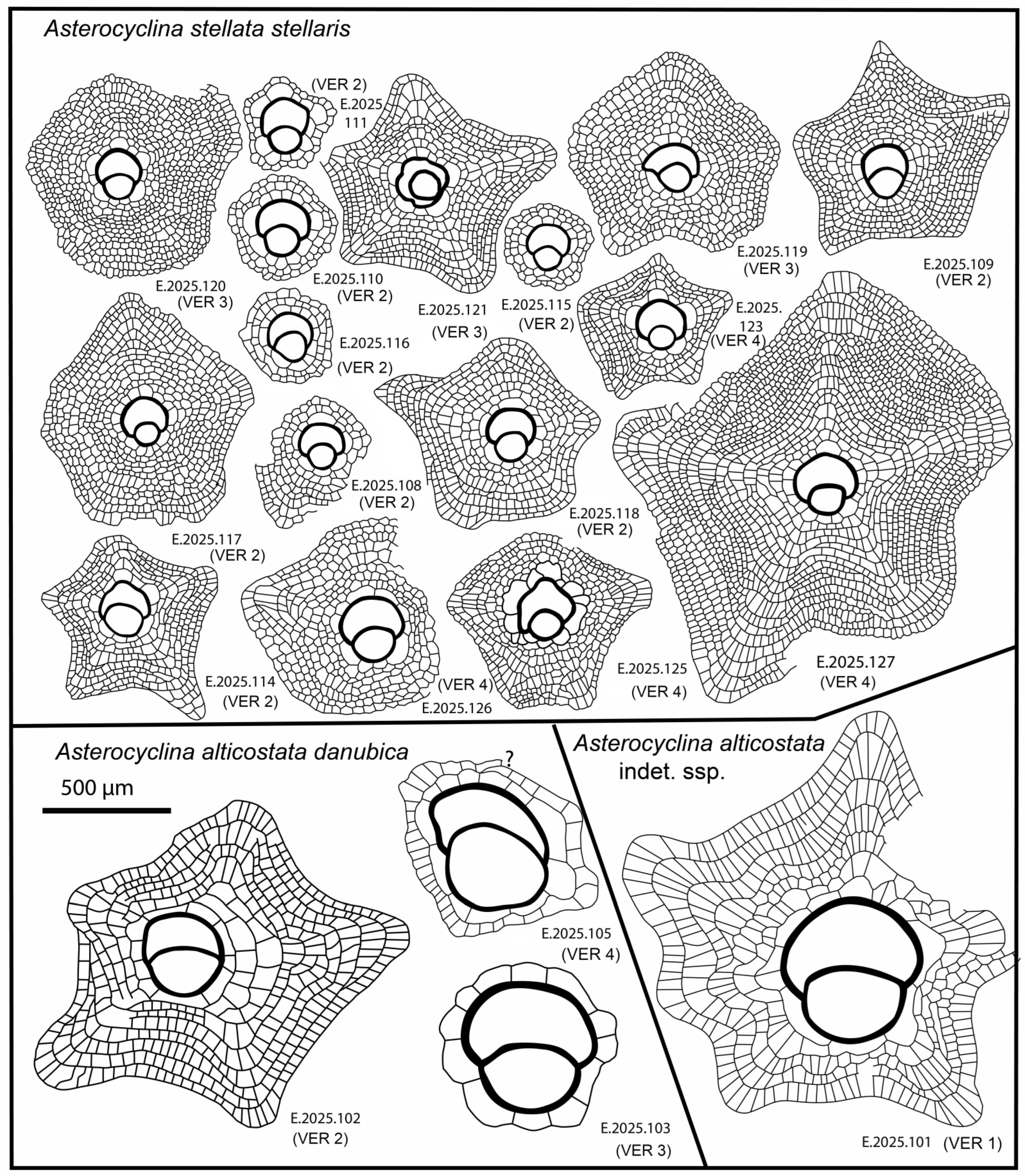 Geosciences 15 00334 g026
