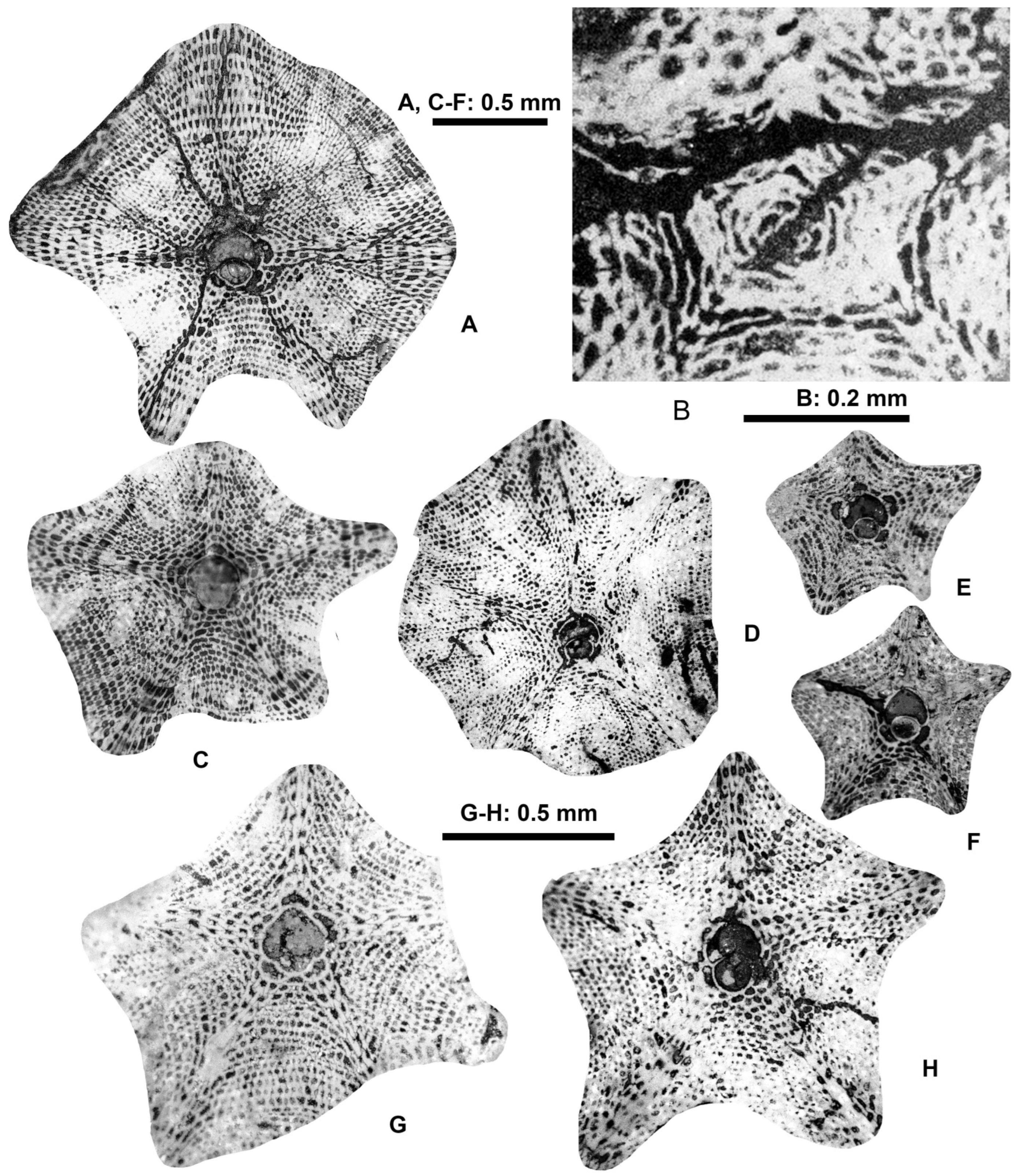 Geosciences 15 00334 g027