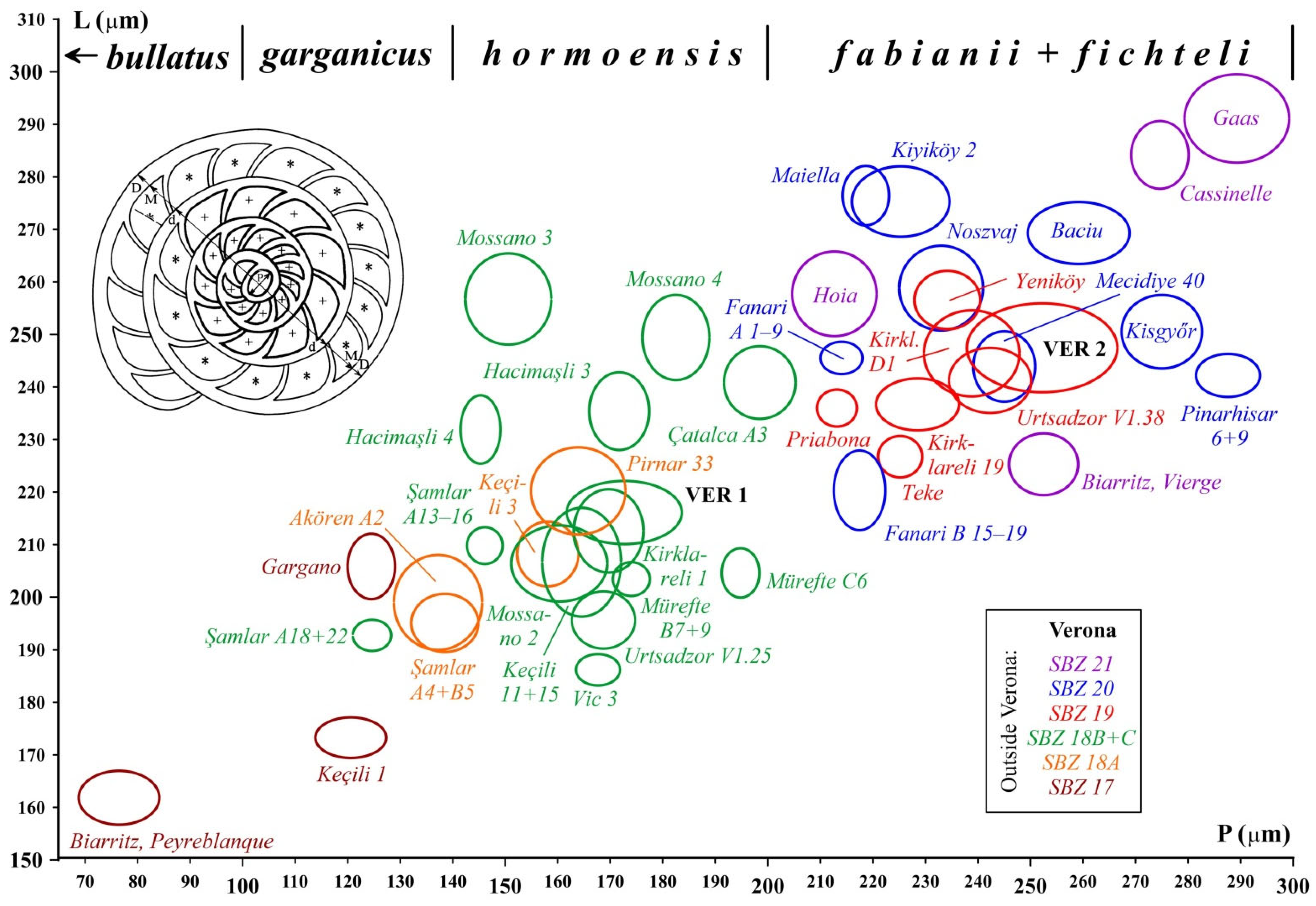 Geosciences 15 00334 g029
