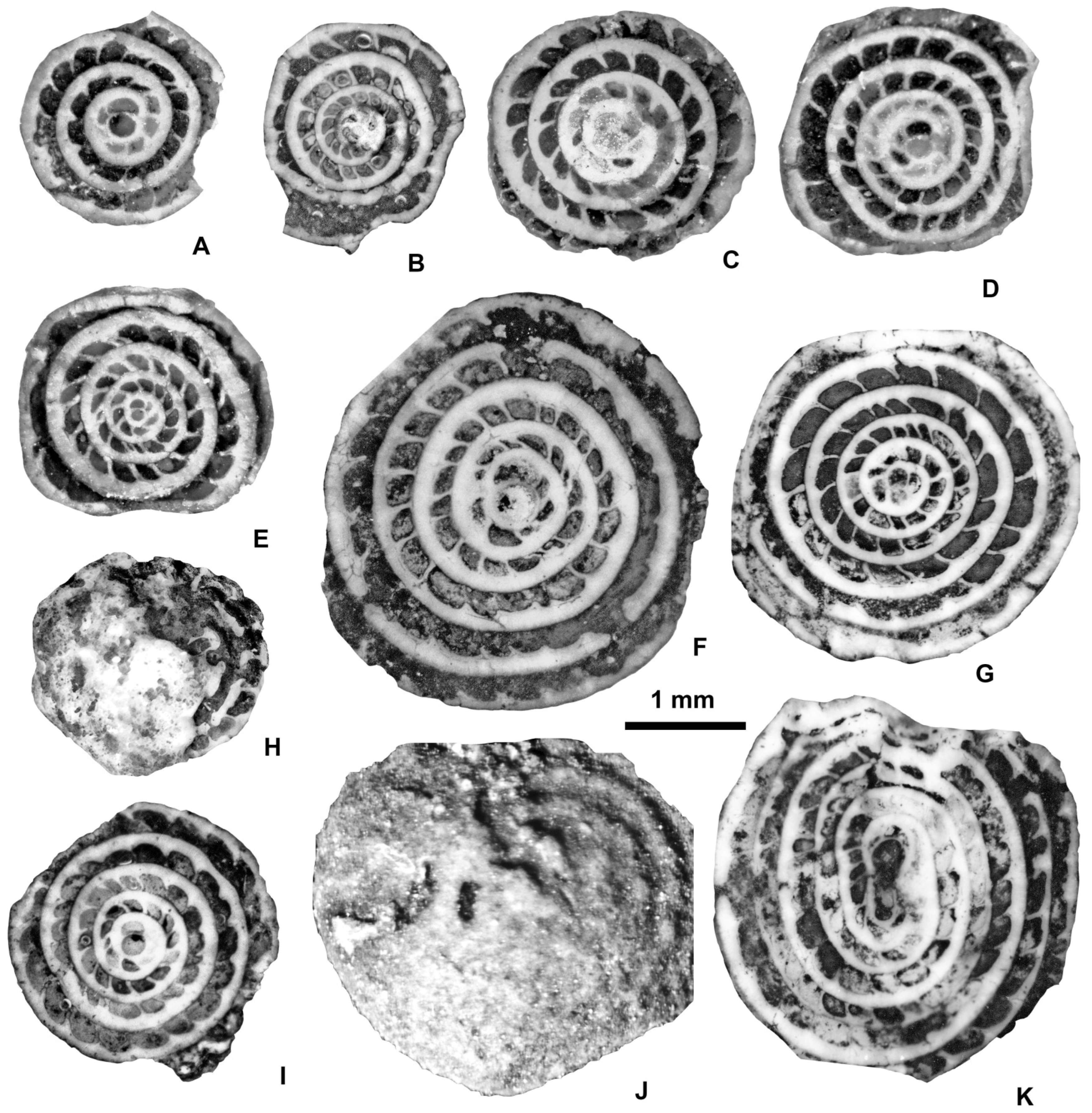 Geosciences 15 00334 g030