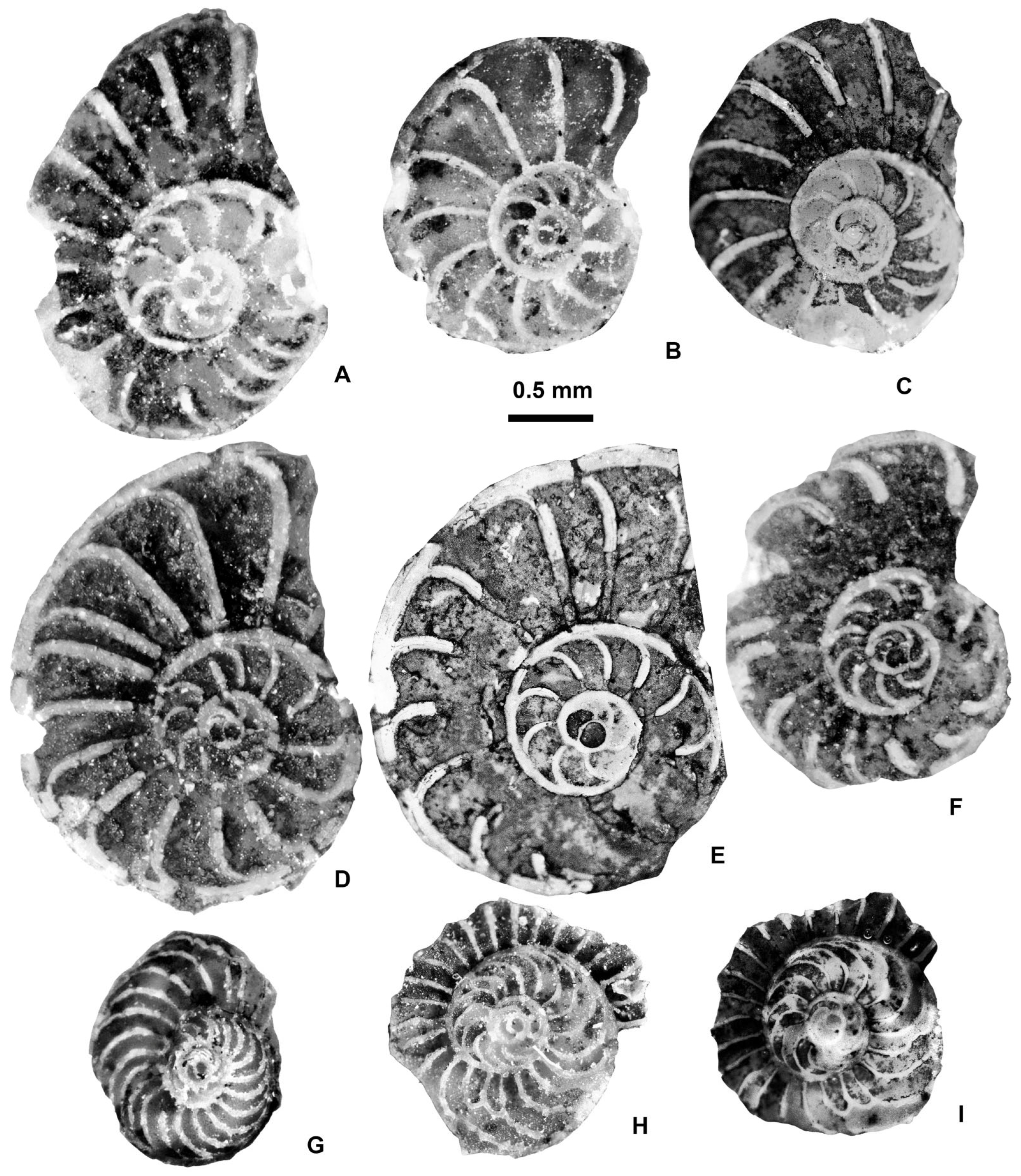 Geosciences 15 00334 g032