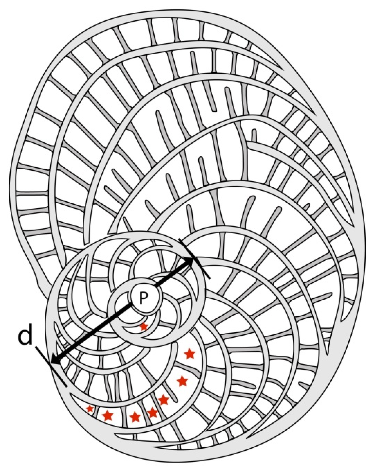 Geosciences 15 00334 g033