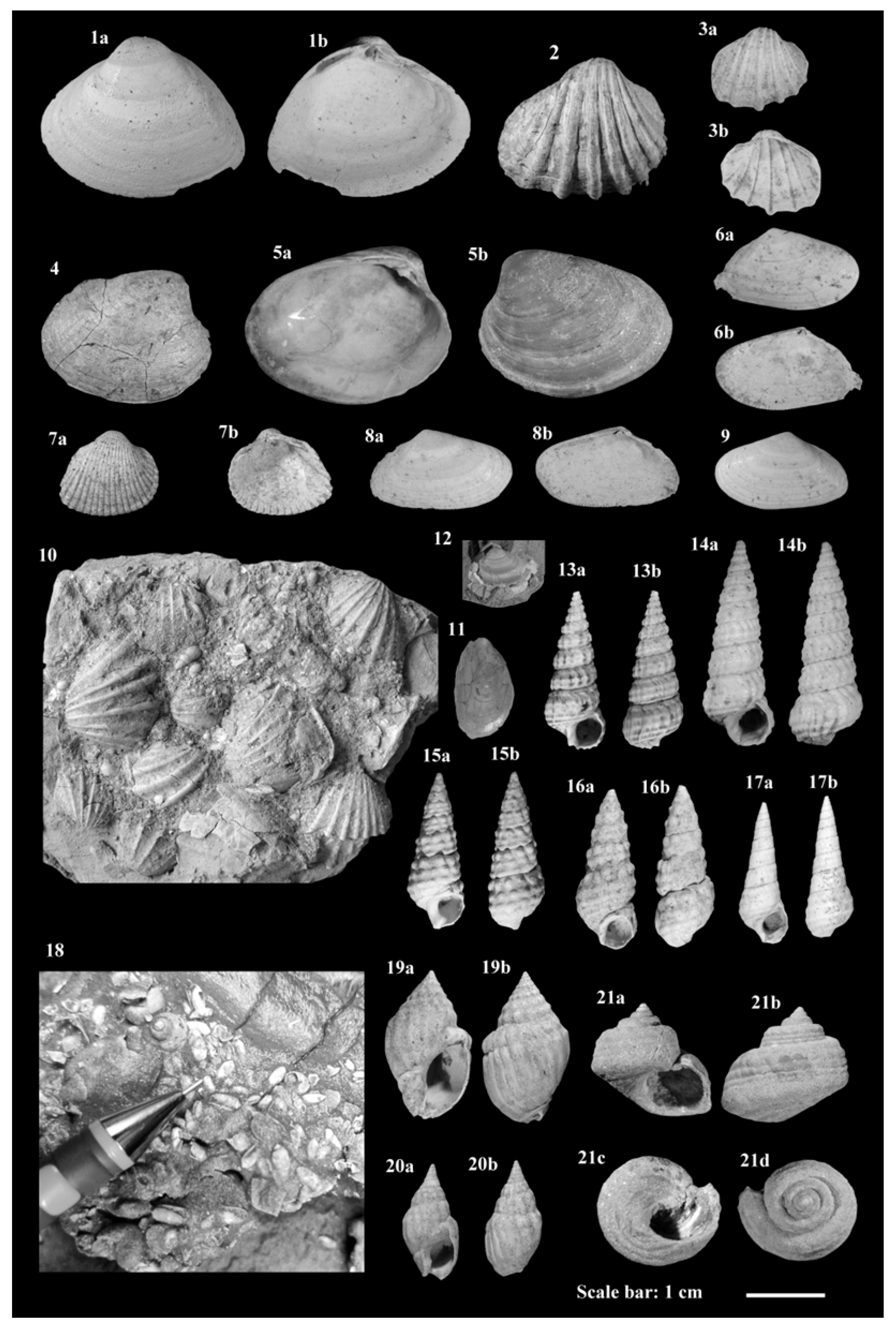 Geosciences 15 00379 g003 Geosciences 15 00379 g003