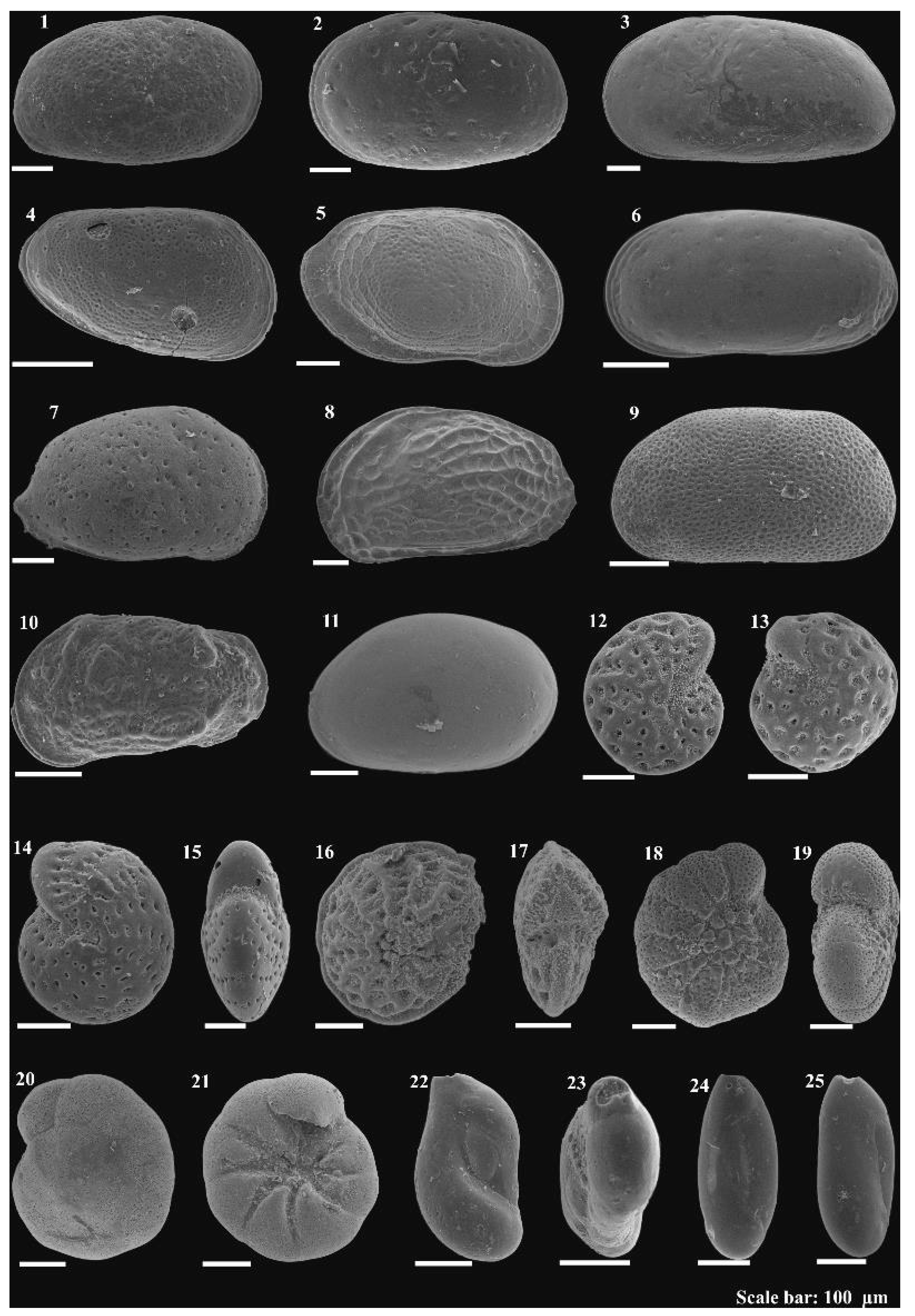 Geosciences 15 00379 g004 Geosciences 15 00379 g004