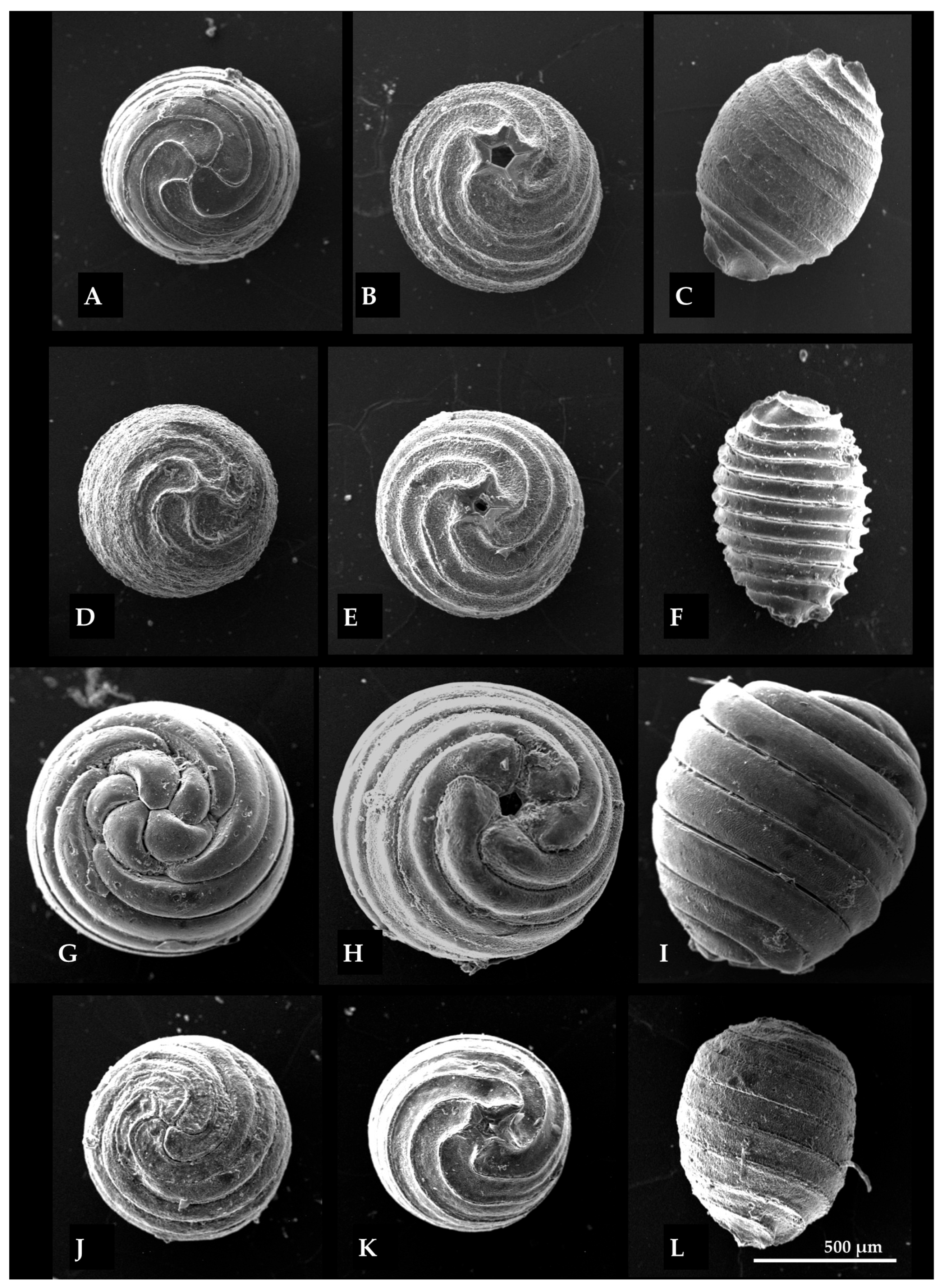 Geosciences 15 00392 g007 Geosciences 15 00392 g007